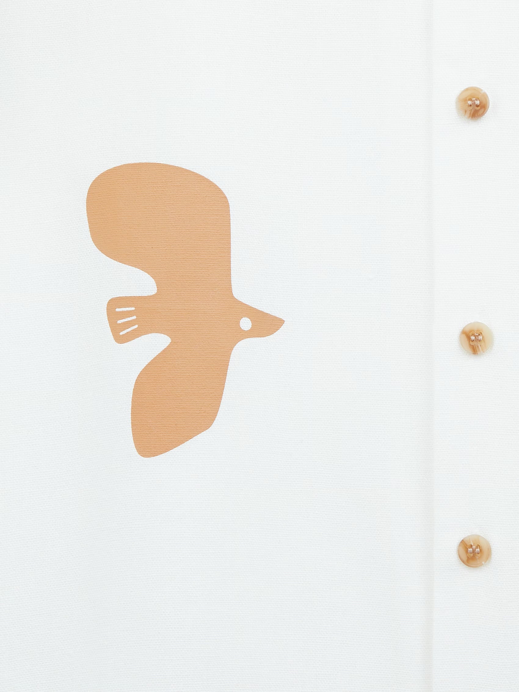 AIIZ Boy's Printed Camp Collar Shirt