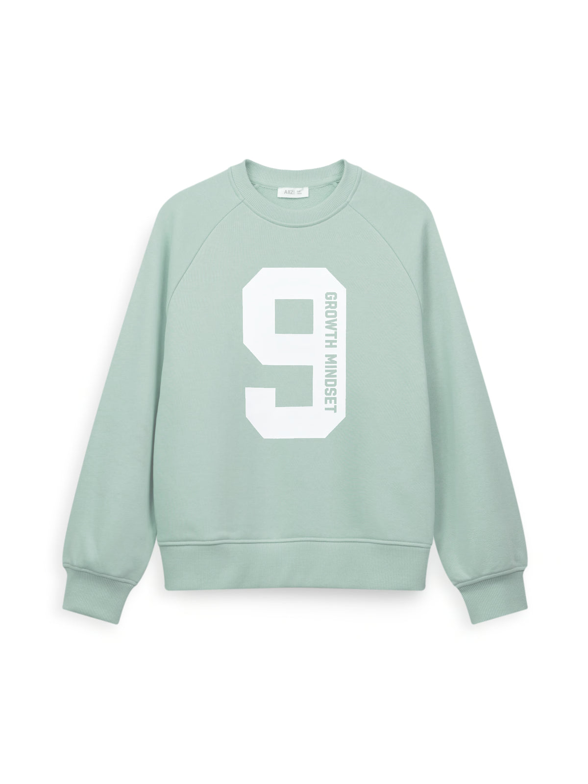 AIIZ Boy's Graphic Sweatshirt (Green / 3-4Y)