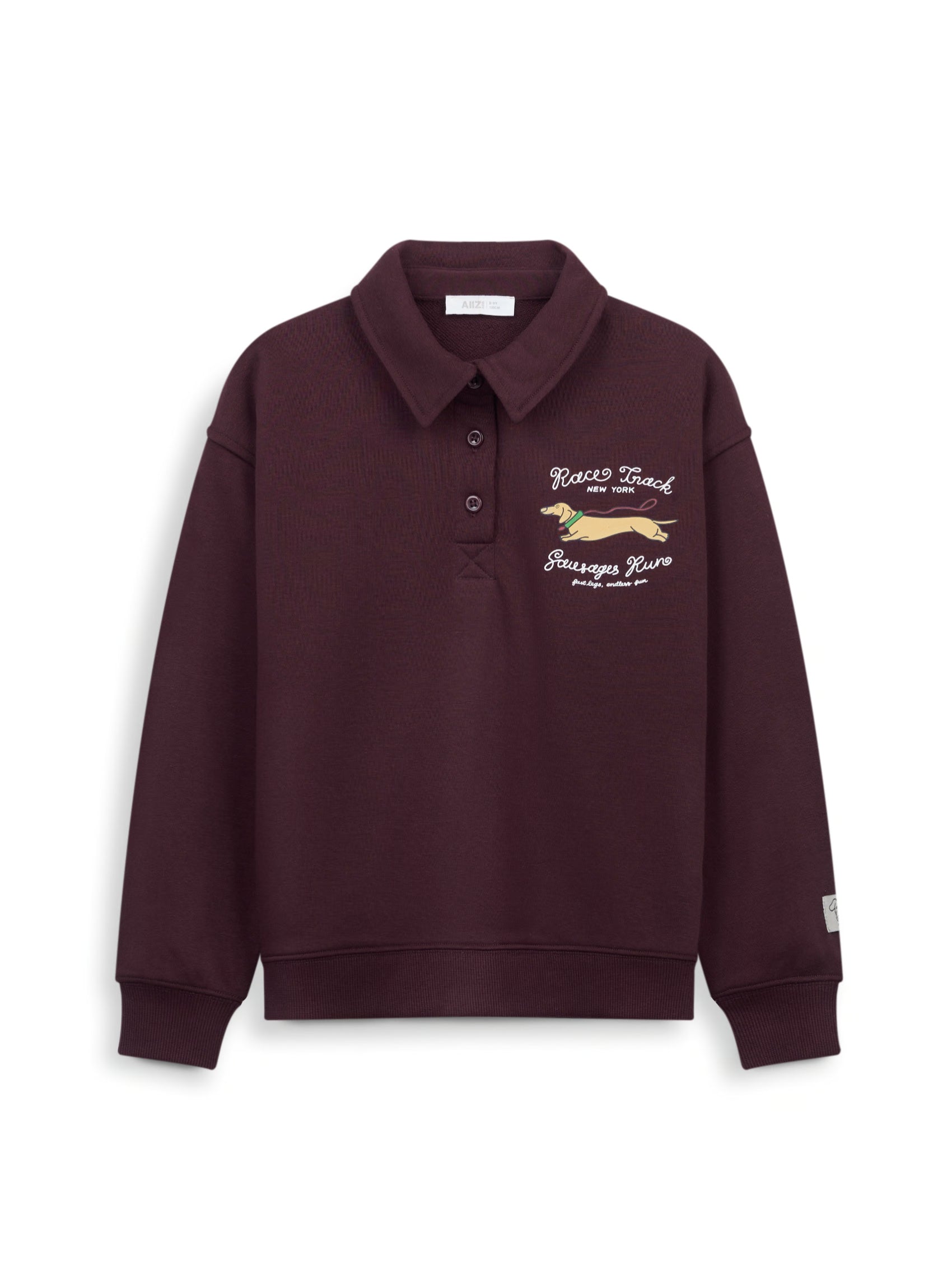 AIIZ Boy's Petite Cafe Polo Sweatshirt (Maroon / 3-4Y)