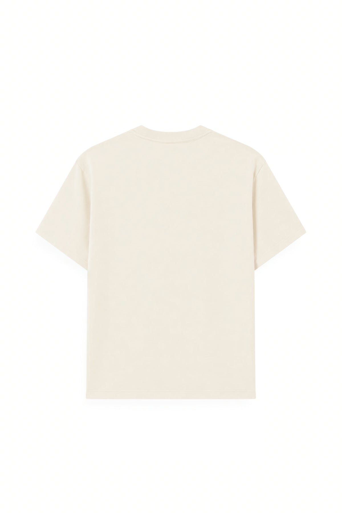 AIIZ Boy's Graphic T-Shirt