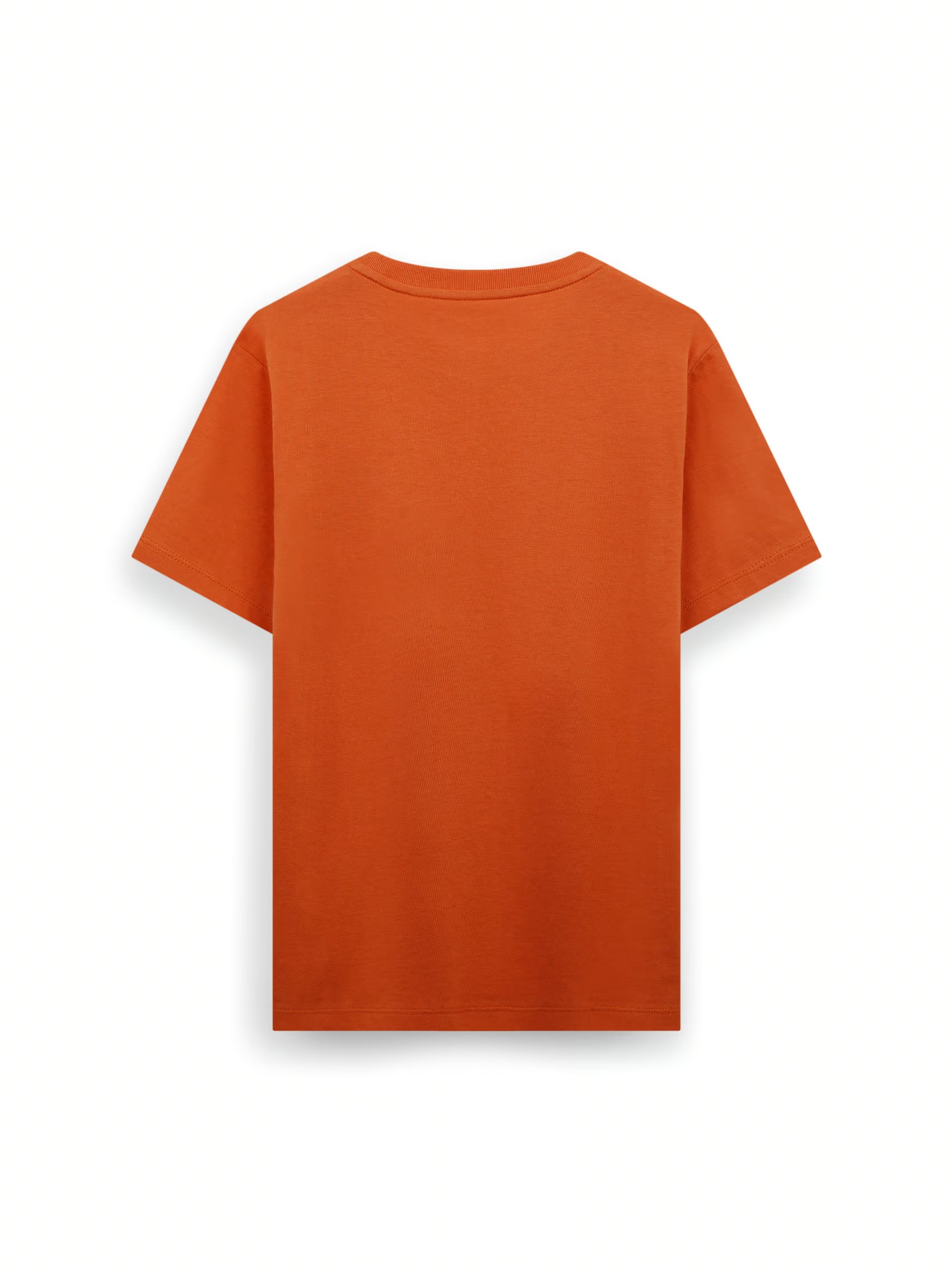 AIIZ Boy’s Cotton T-Shirt
