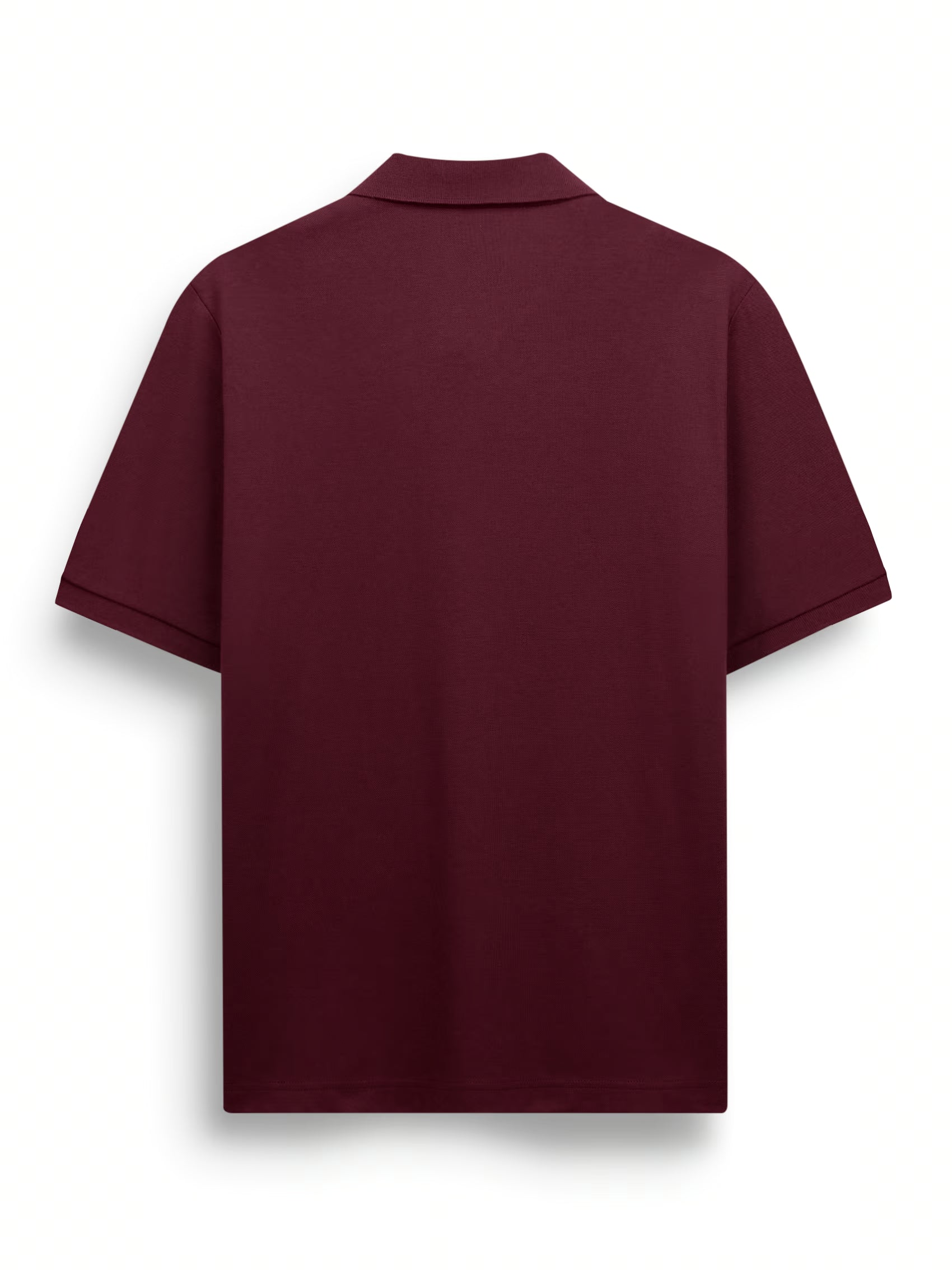 Men’s Cotton Polyester AIIZ Logo Polo Shirt