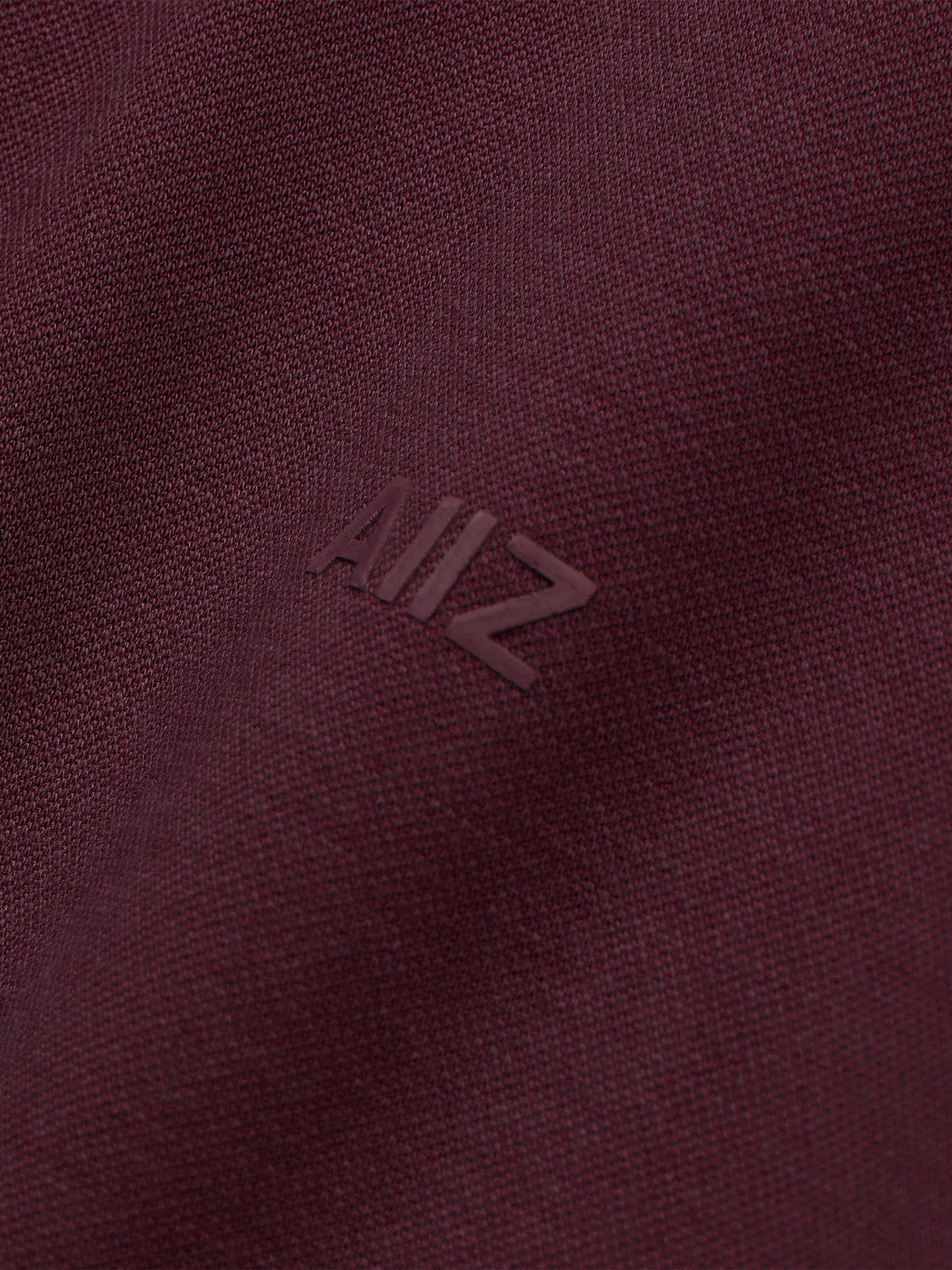 Men’s Cotton Polyester AIIZ Logo Polo Shirt