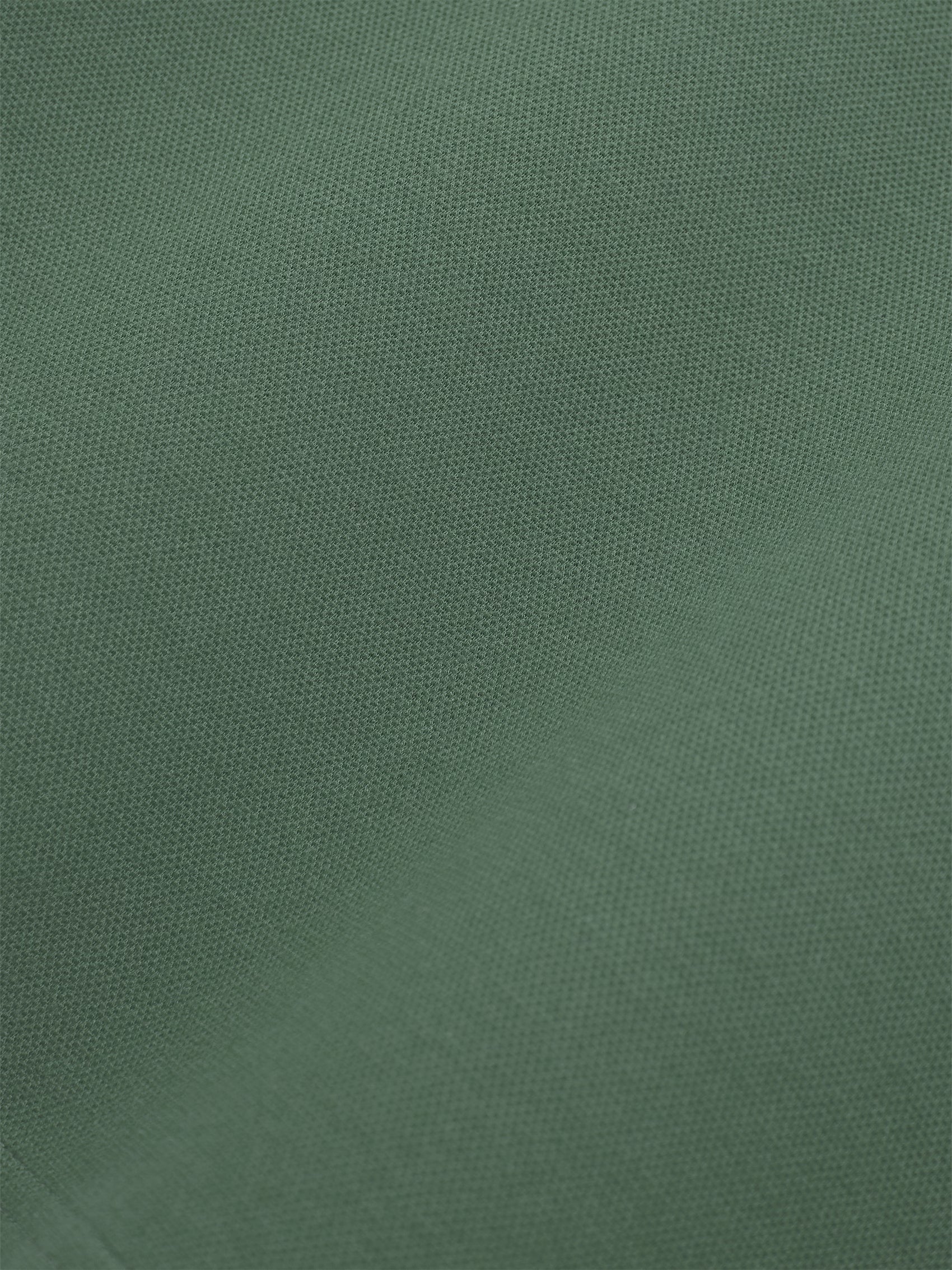 AIIZ Men’s AIIZ Logo Polo Shirt