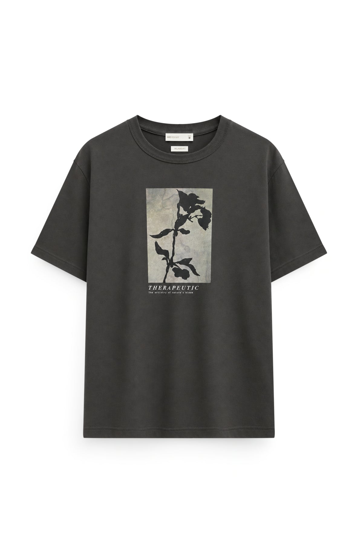 AIIZ Men's Graphic T-Shirt (Dark Grey / S)