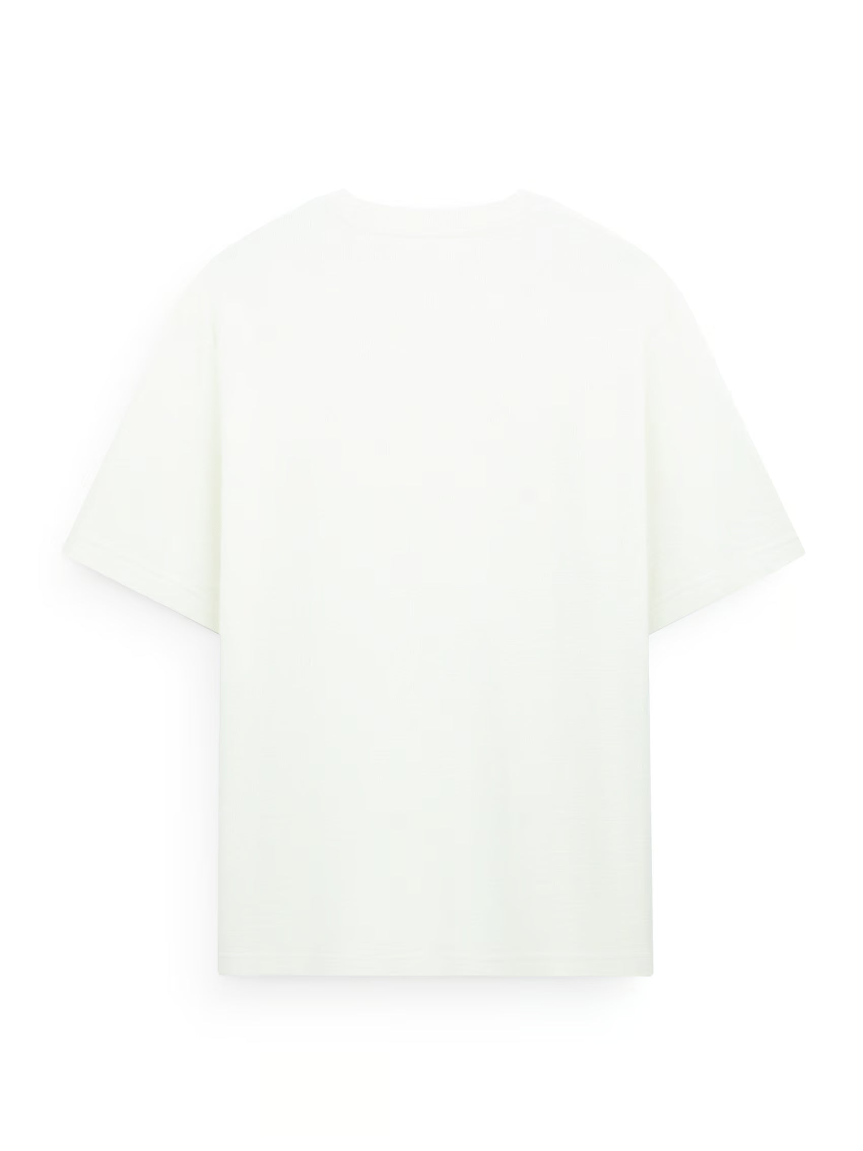 AIIZ Men's Slub Relaxed T-Shirt