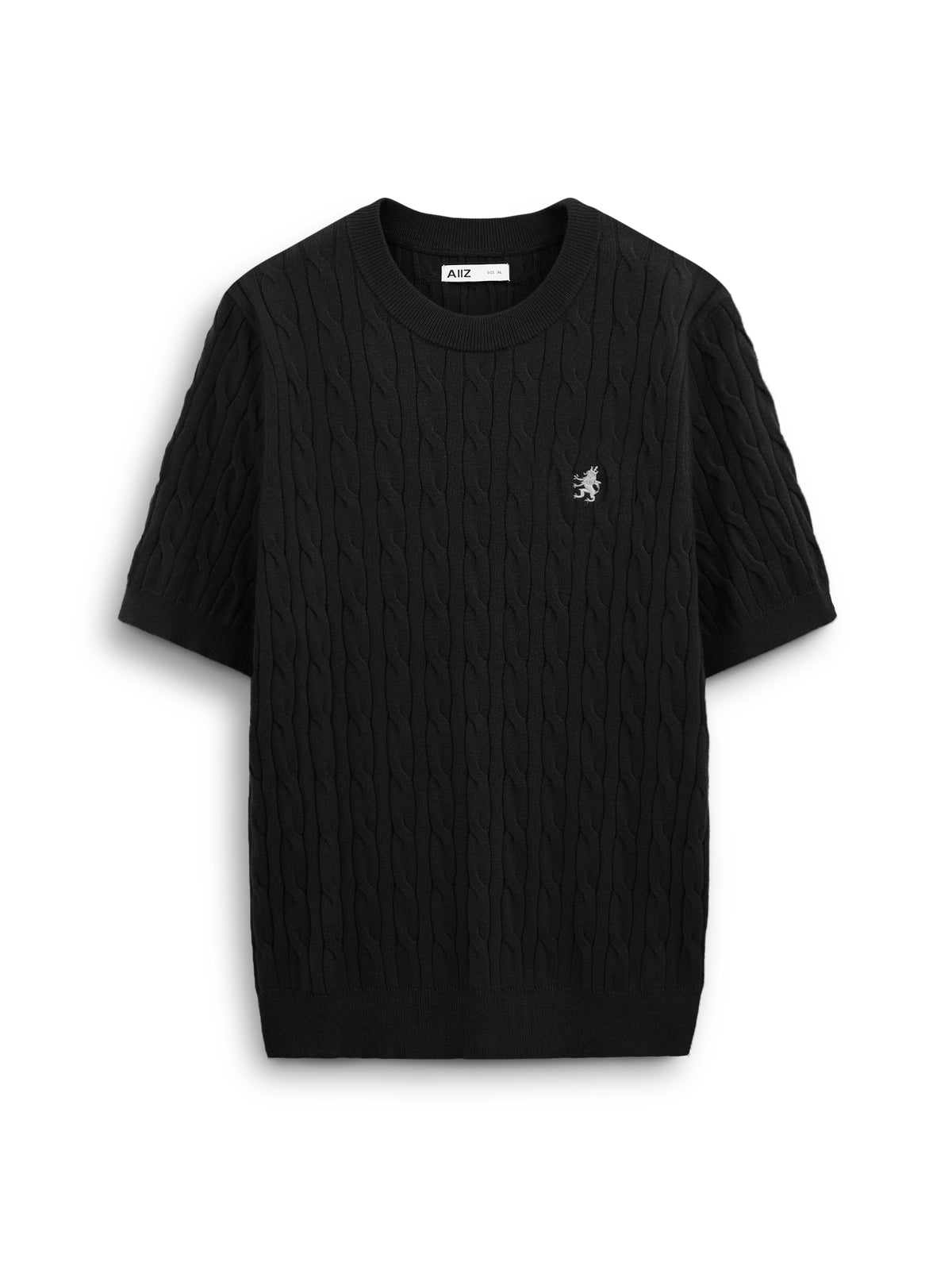 AIIZ Men's Cable T-Shirt Sweater