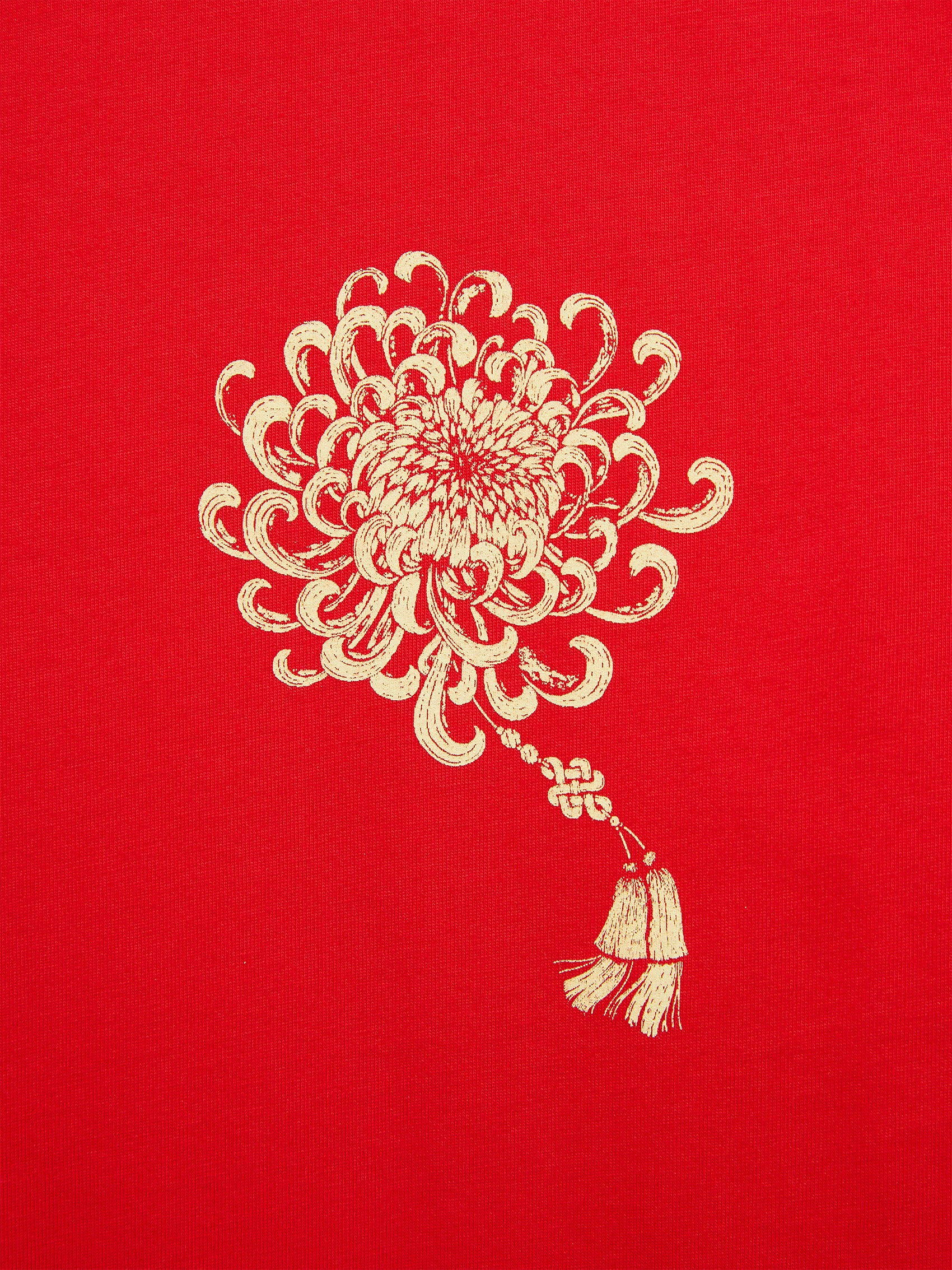 AIIZ Men's Graphic T-Shirt