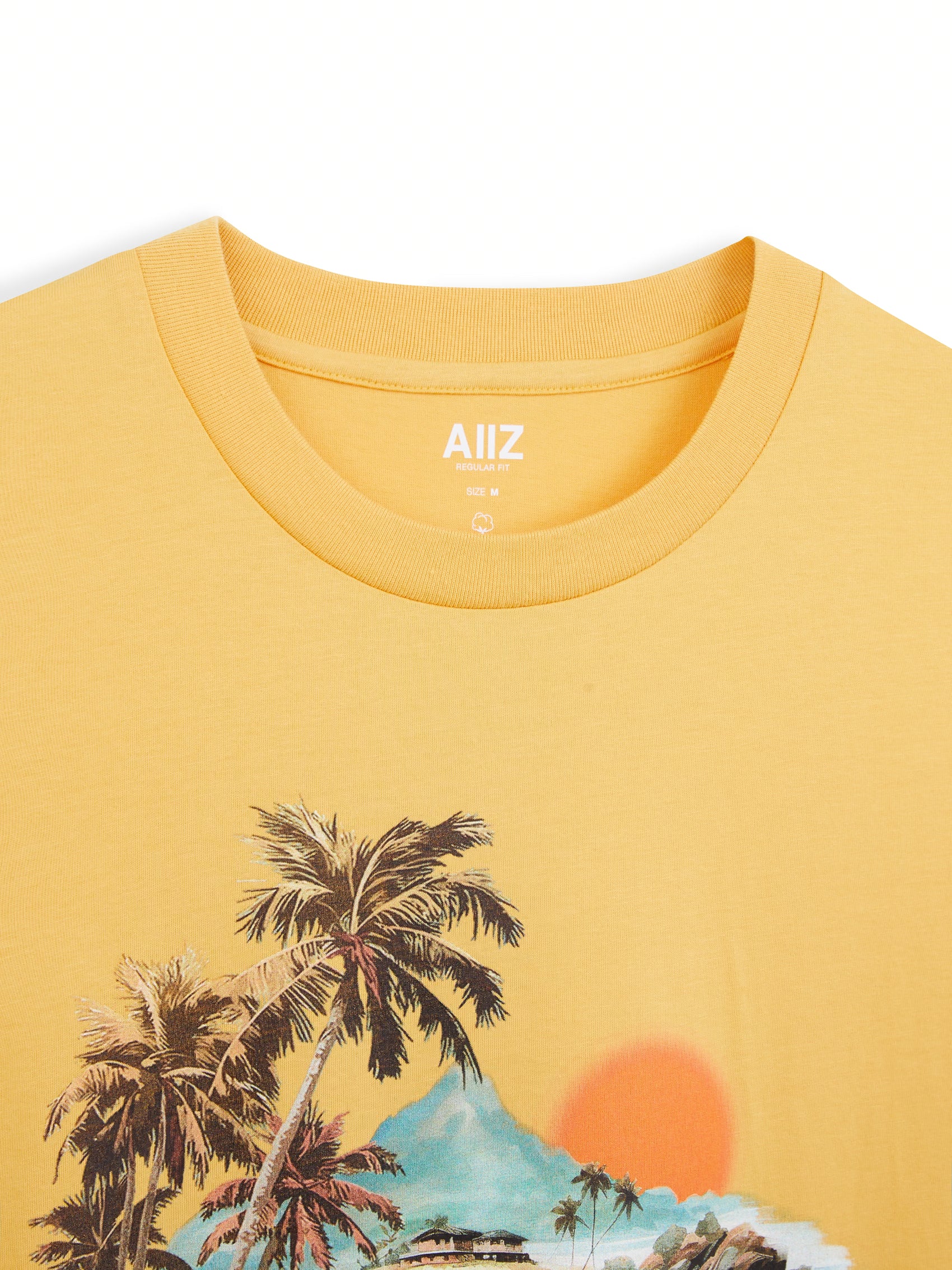 AIIZ Men's Graphic T-Shirt