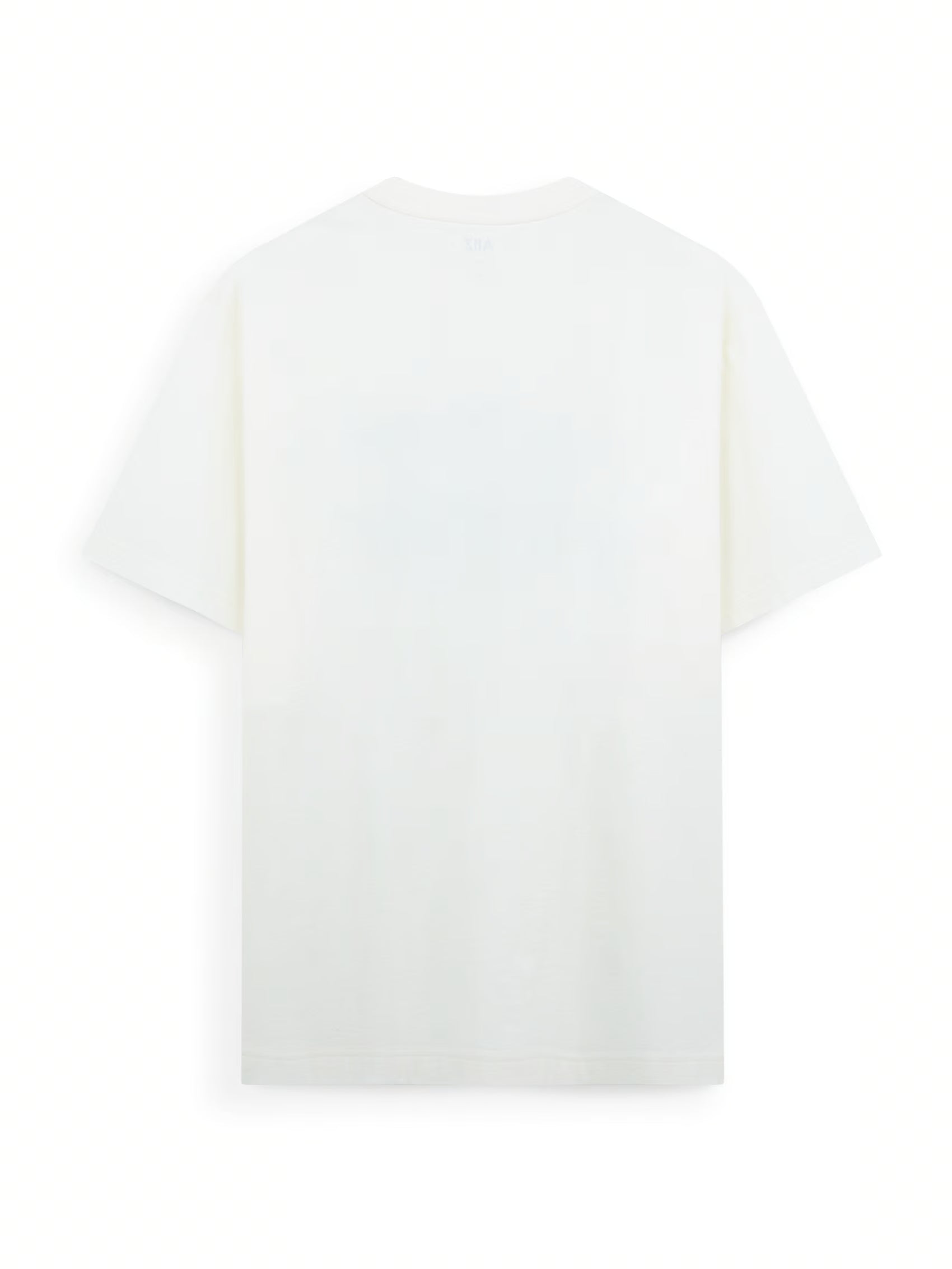 AIIZ Men's Graphic T-Shirt