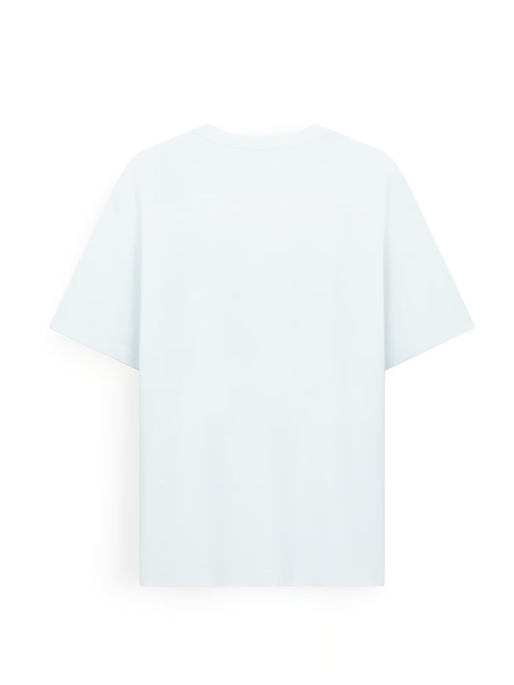 AIIZ Men's Graphic T-Shirt