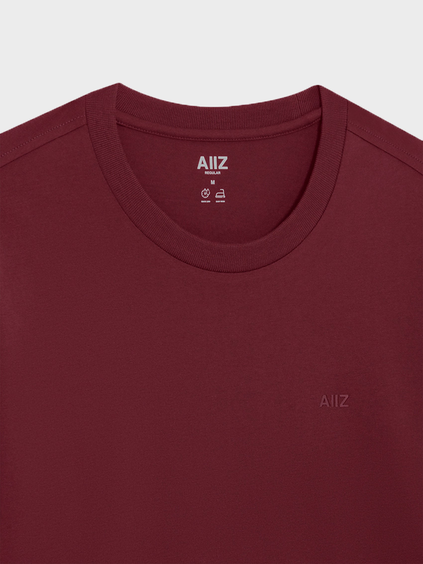 Men’s Cotton Polyester AIIZ Logo T-Shirt
