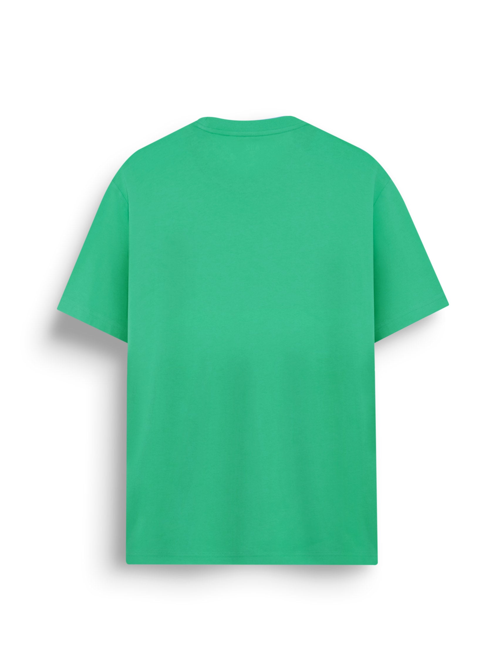 AIIZ Men's Lion T-Shirt