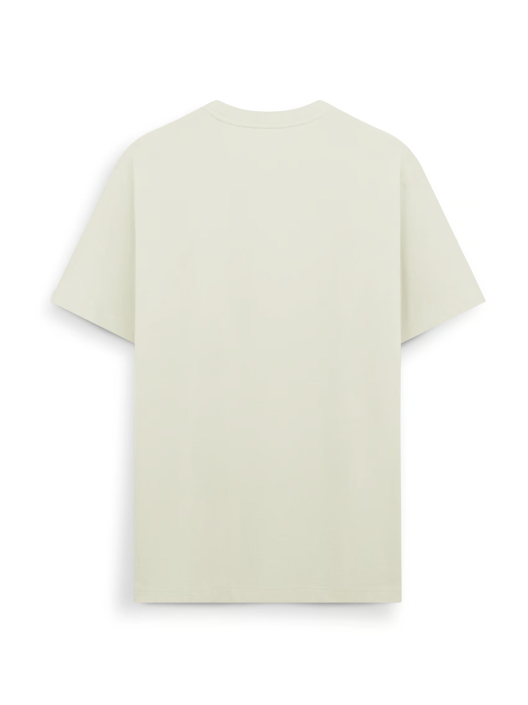 AIIZ Men's Big Lion T-Shirt