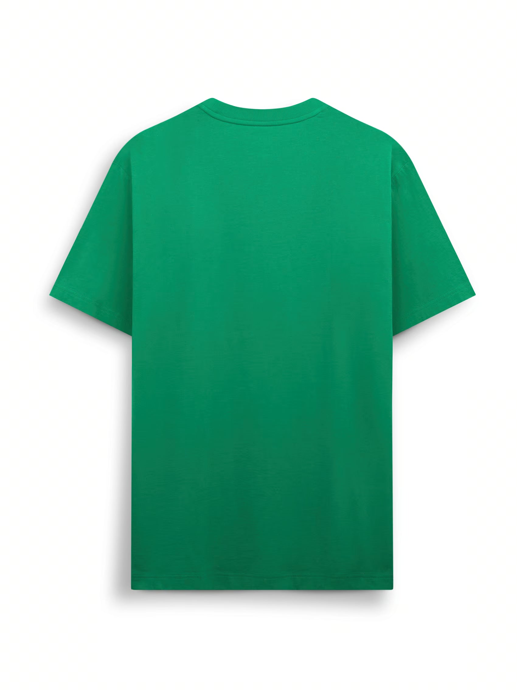 AIIZ Men's Big Lion T-Shirt
