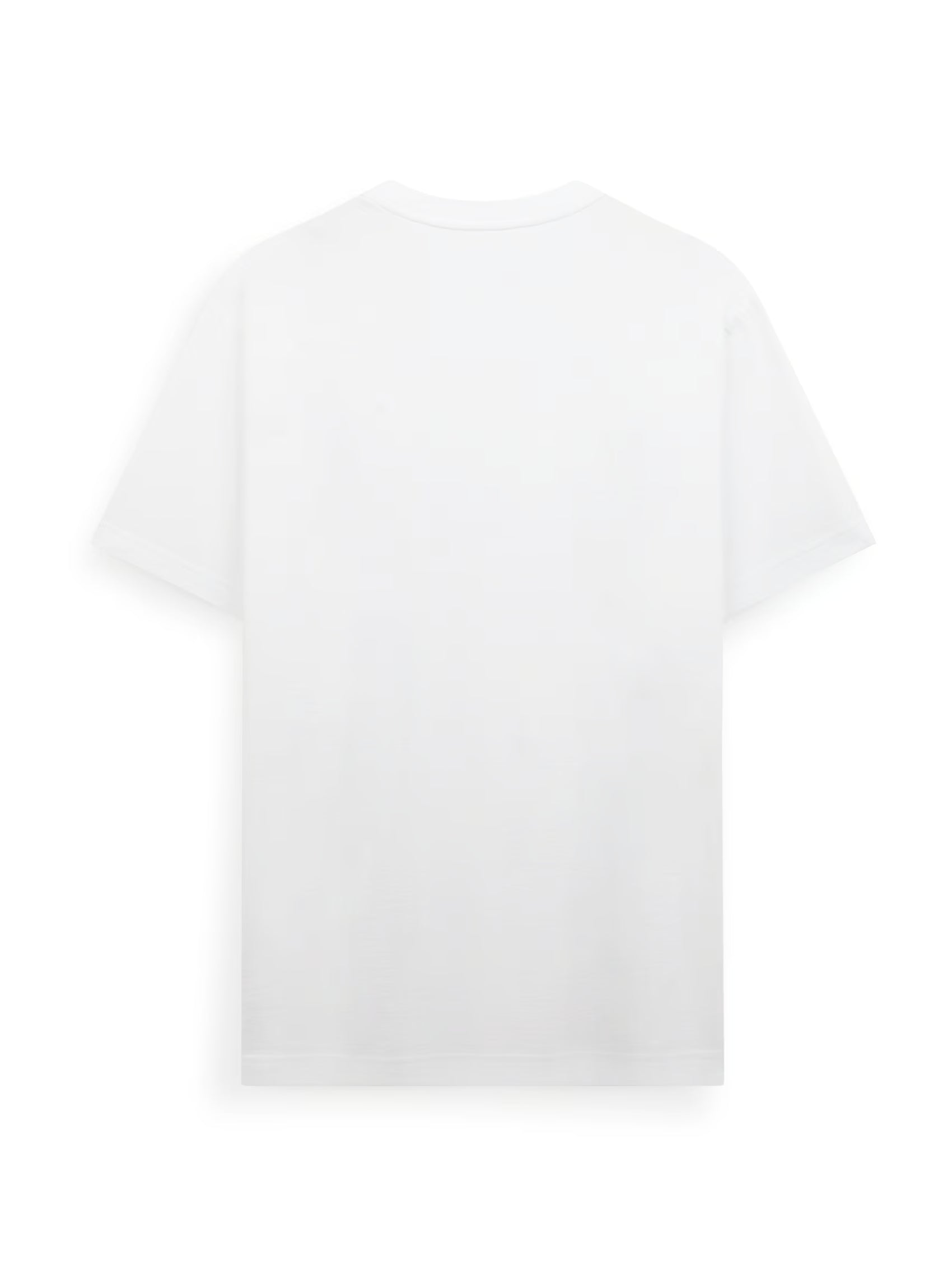 AIIZ Men's Big Lion T-Shirt