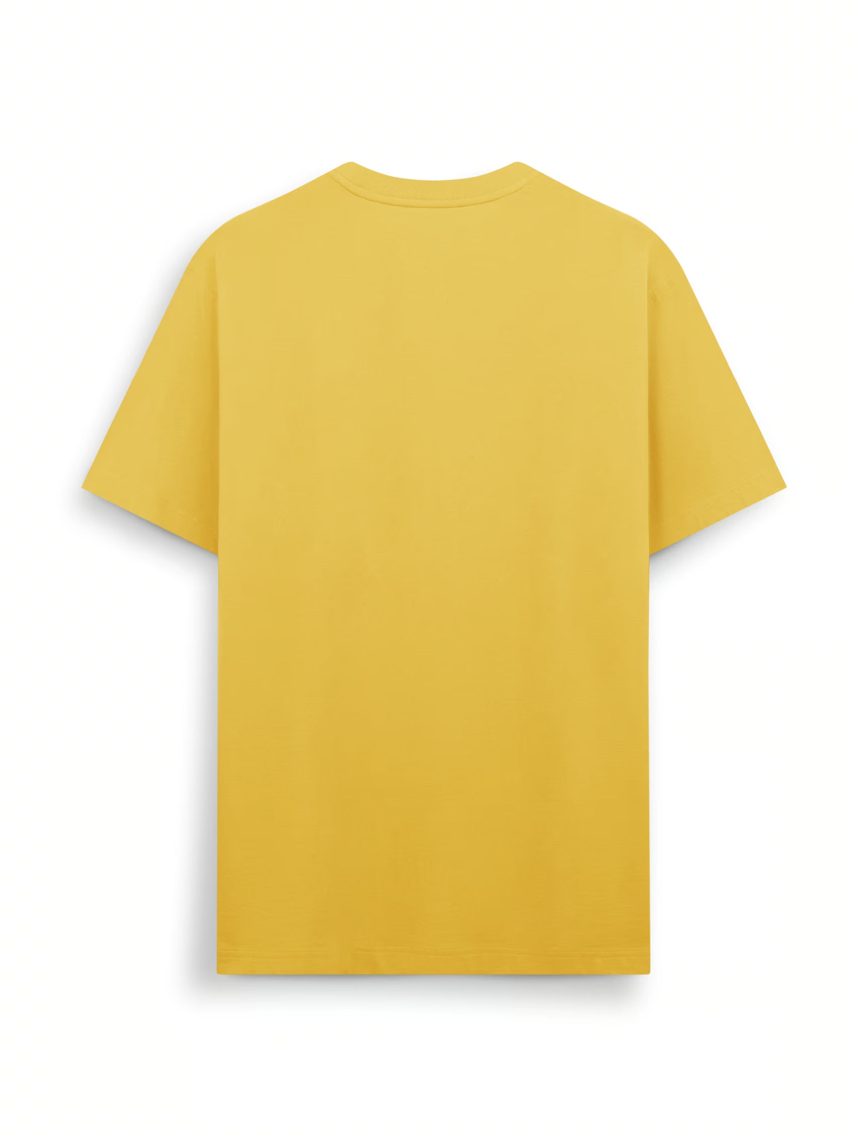 AIIZ Men's Big Lion T-Shirt