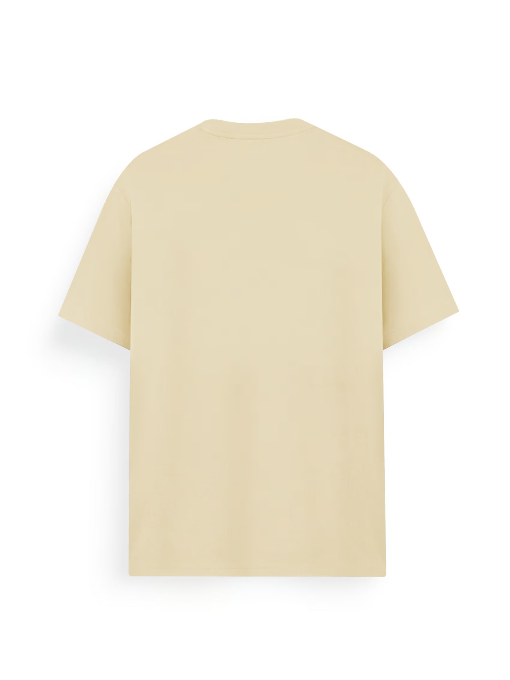 AIIZ Men's Big Lion T-Shirt