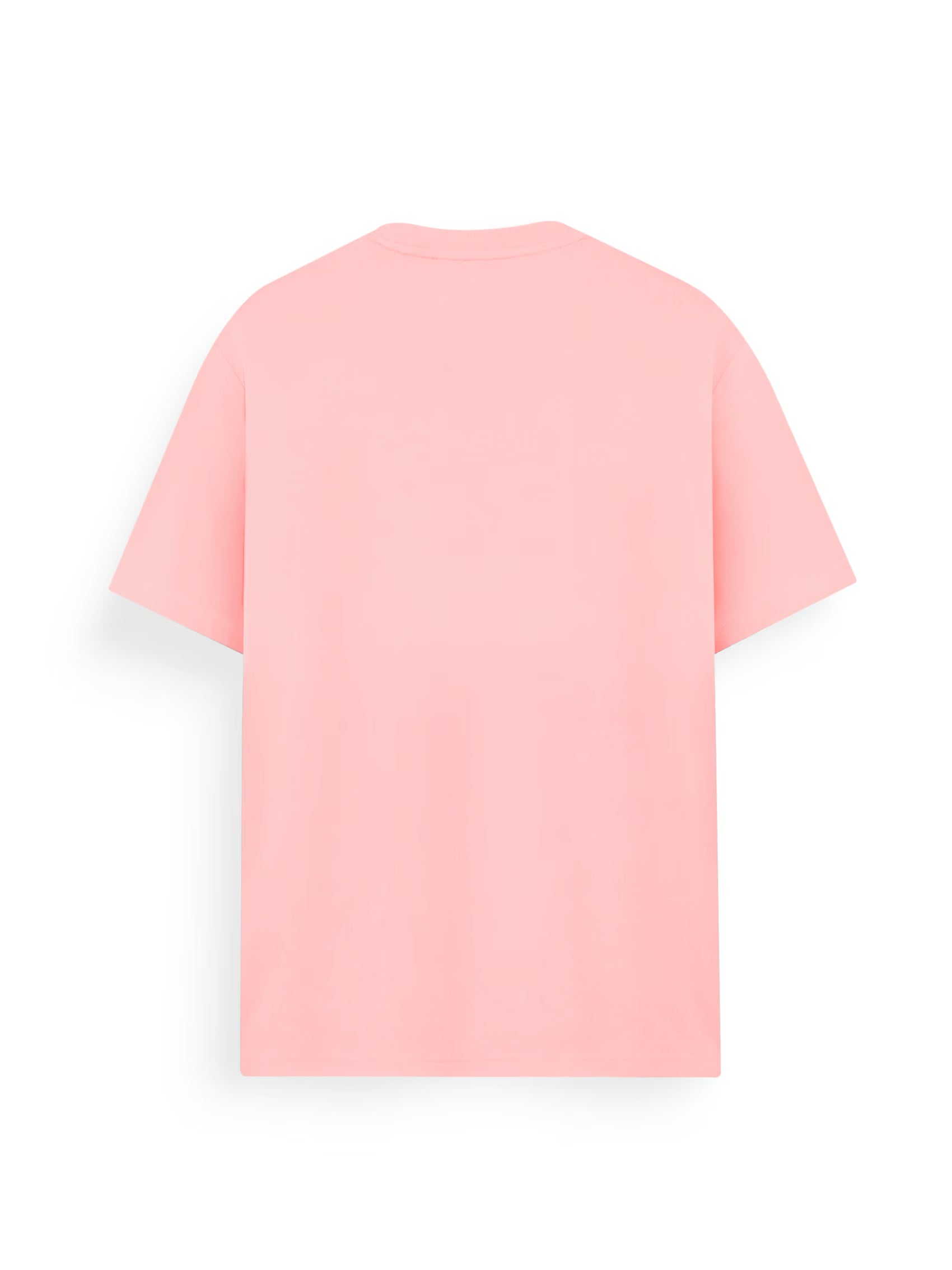 AIIZ Men's Big Lion T-Shirt