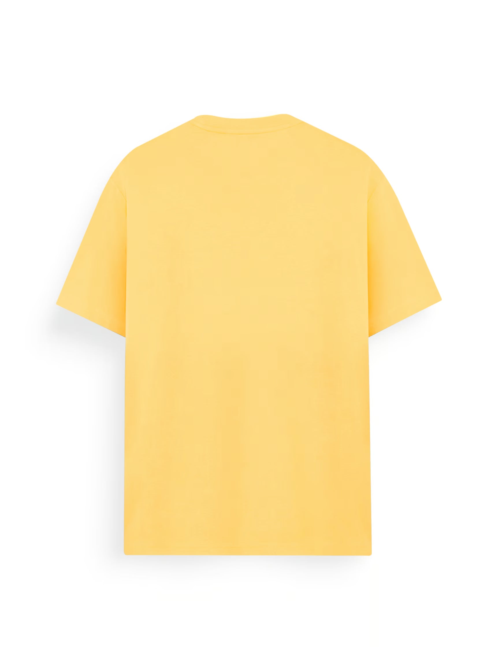 AIIZ Men's Big Lion T-Shirt