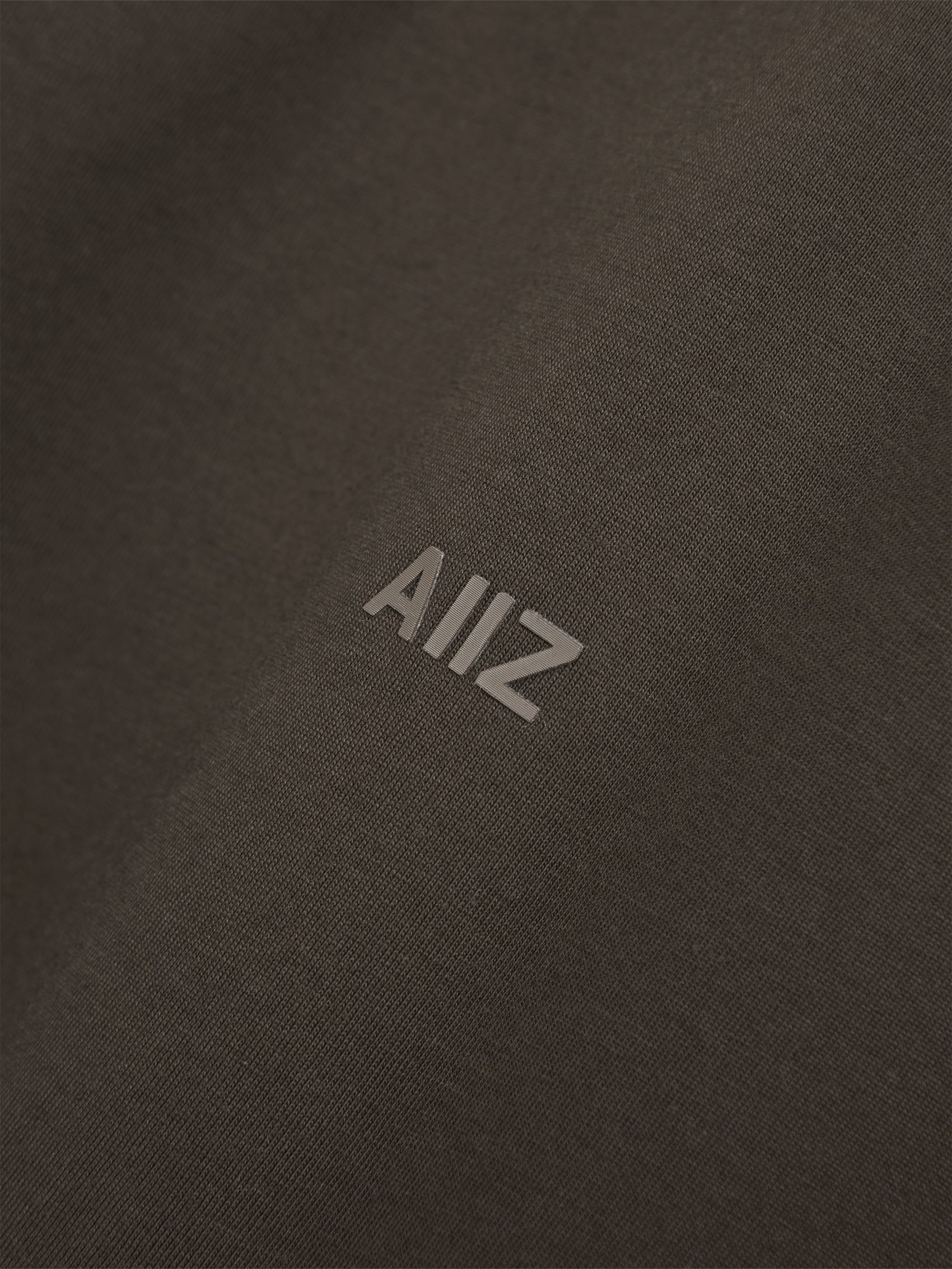 AIIZ Men's AIIZ Logo T-Shirt
