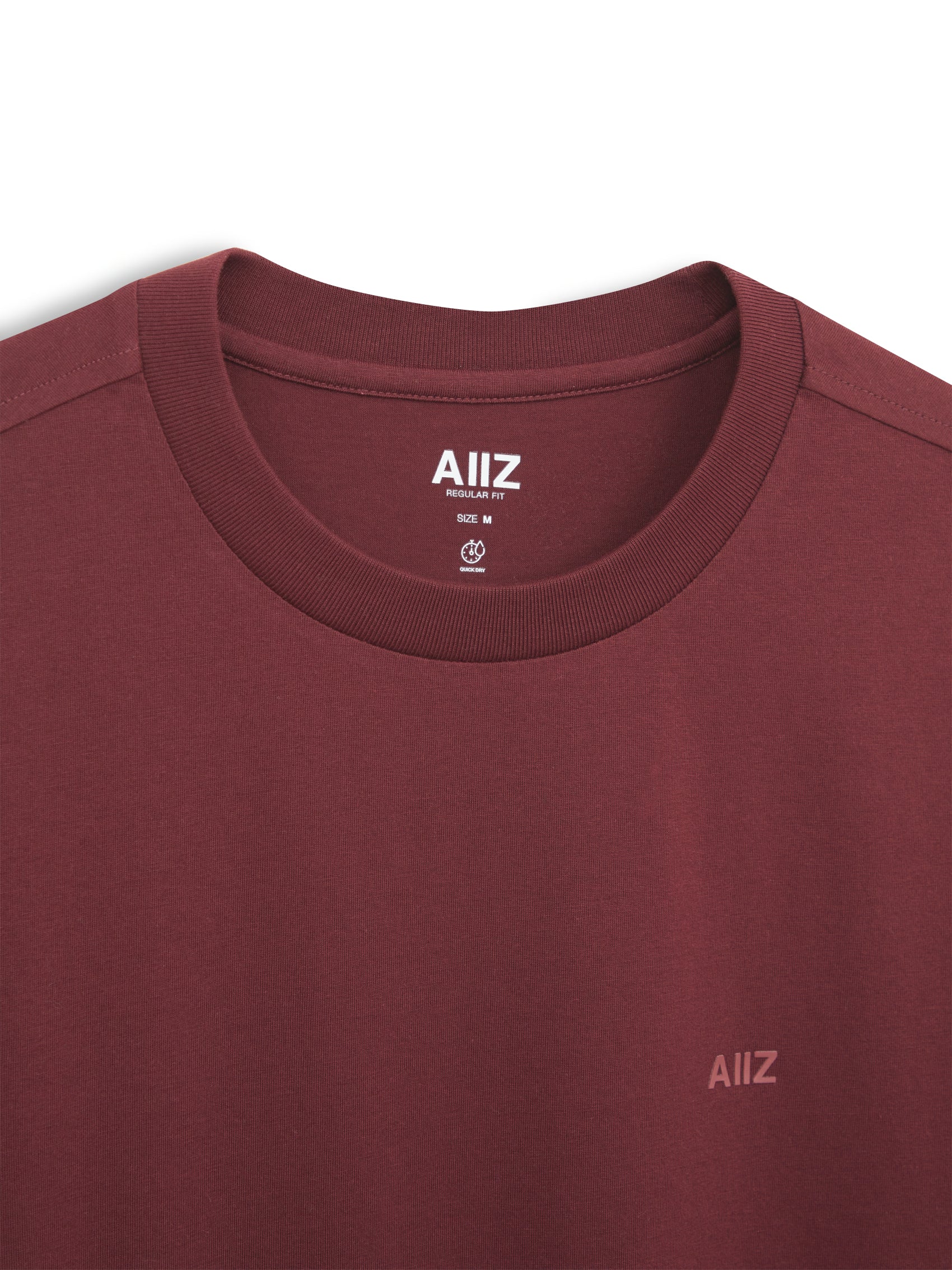 AIIZ Men's AIIZ Logo T-Shirt
