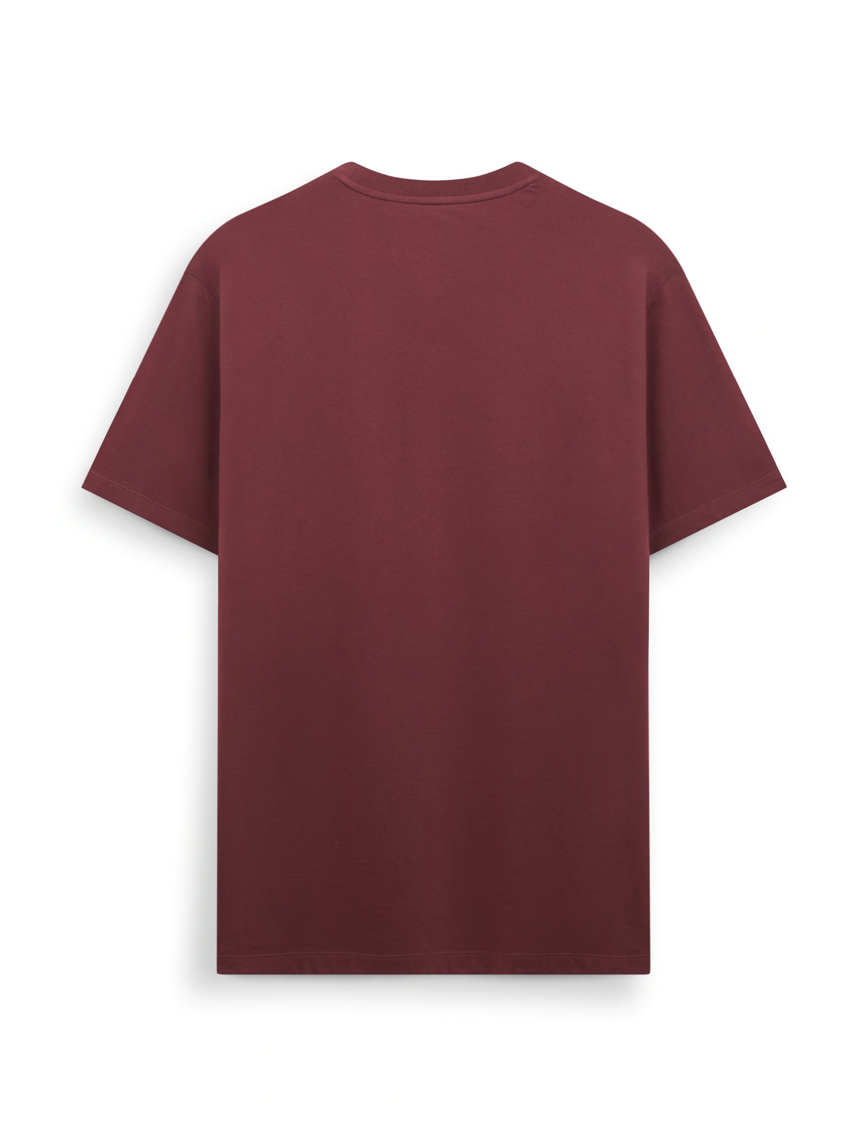 AIIZ Men's AIIZ Logo T-Shirt