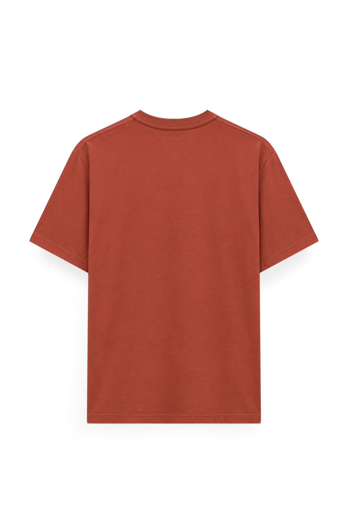 AIIZ Men's Lion Logo T-Shirt