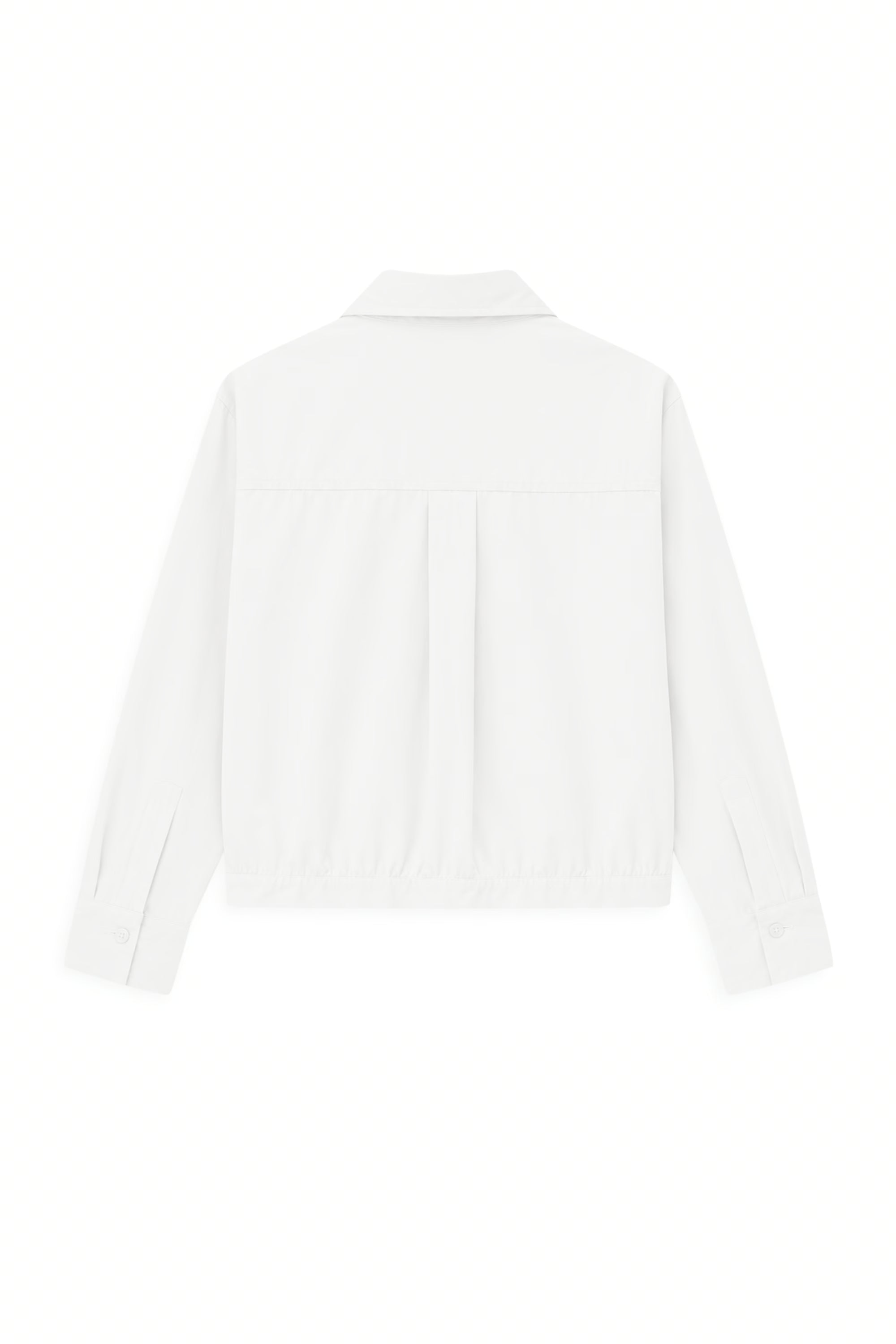 AIIZ Women's Crop Long Sleeves Shirt