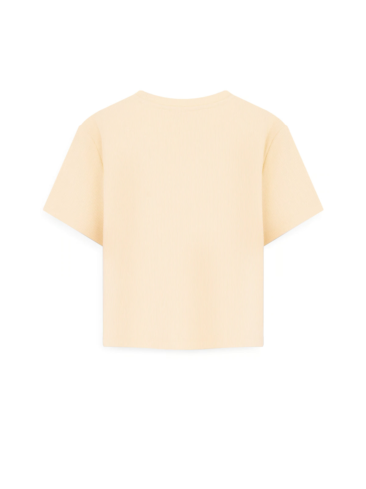 AIIZ Women's Fitted Crop T-Shirt