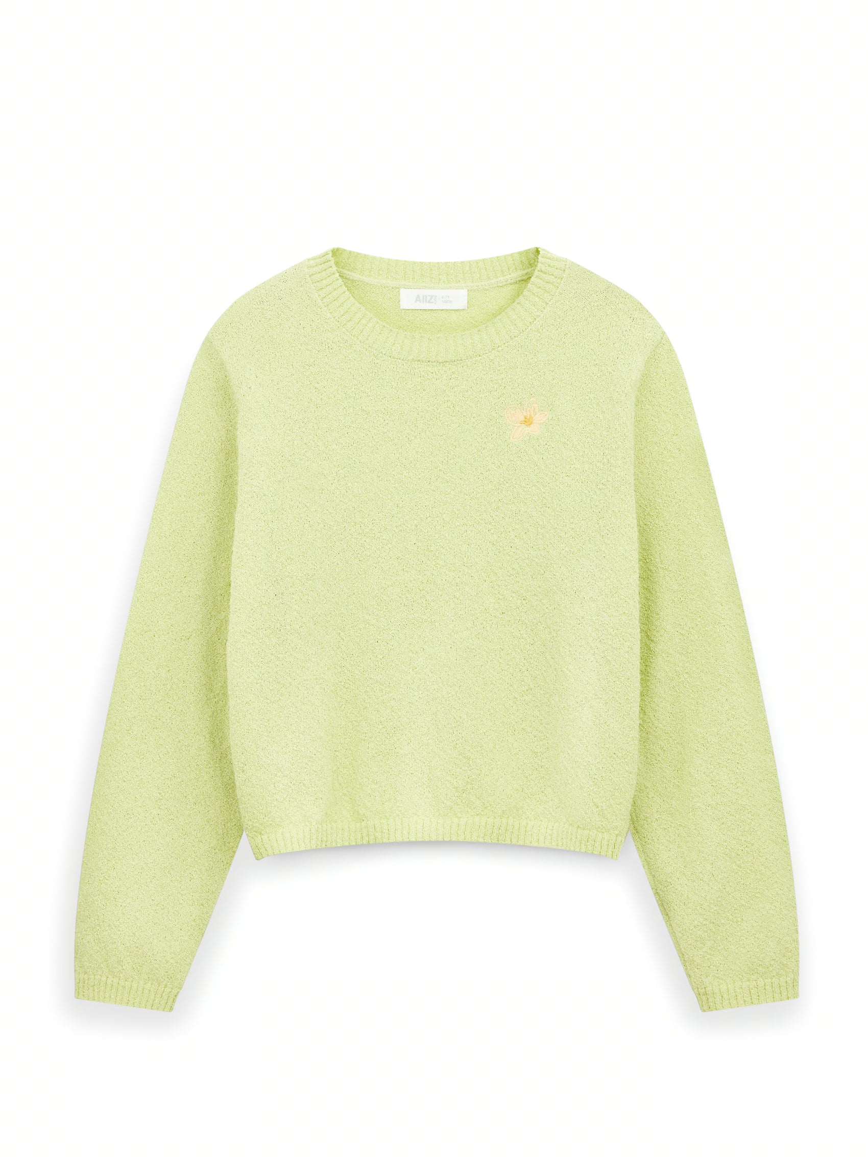 AIIZ Girl's Graphic Sweater (Light Green / 3-4Y)