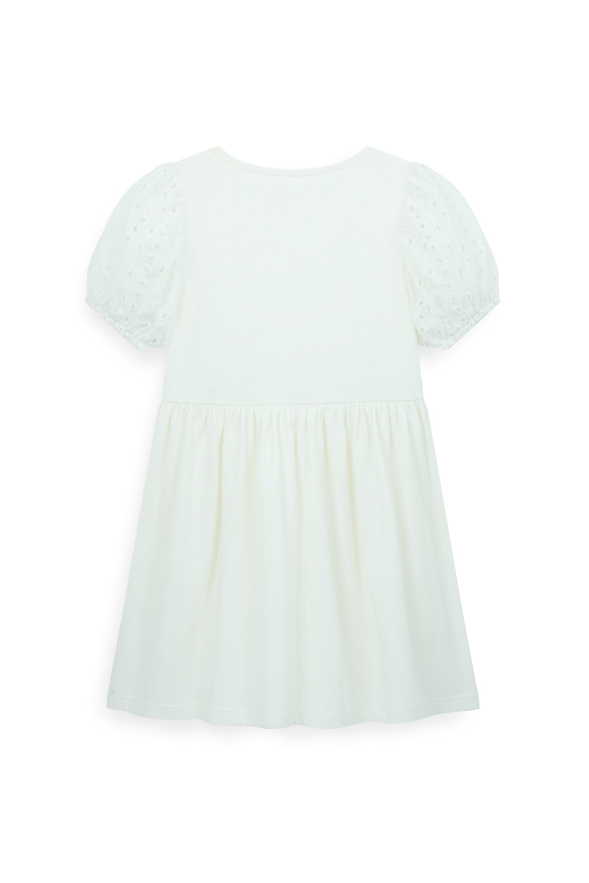 AIIZ Girl's Embroidered Puff Sleeve A-Line Dress