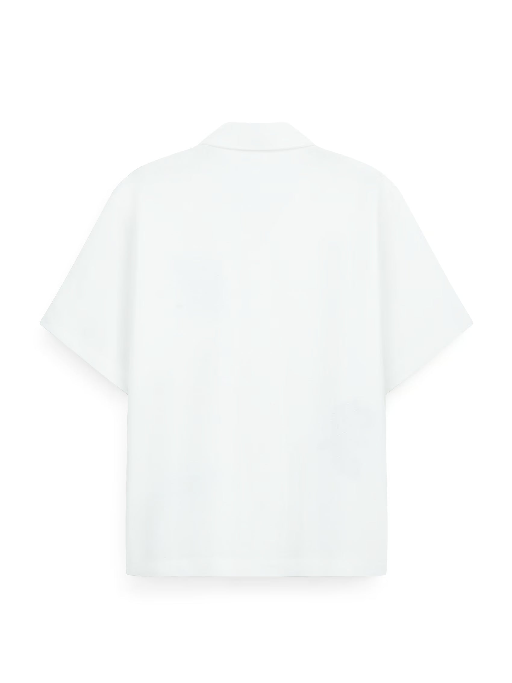 AIIZ Boy's Printed Camp Collar Shirt