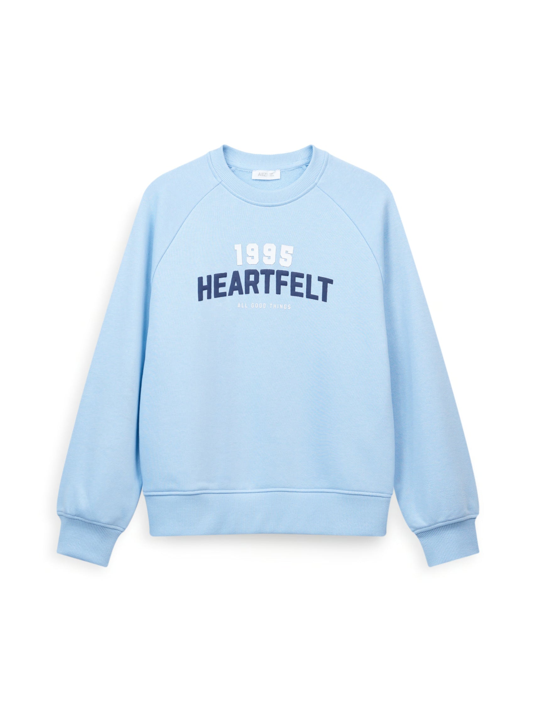AIIZ Boy's Graphic Sweatshirt (Blue / 3-4Y)