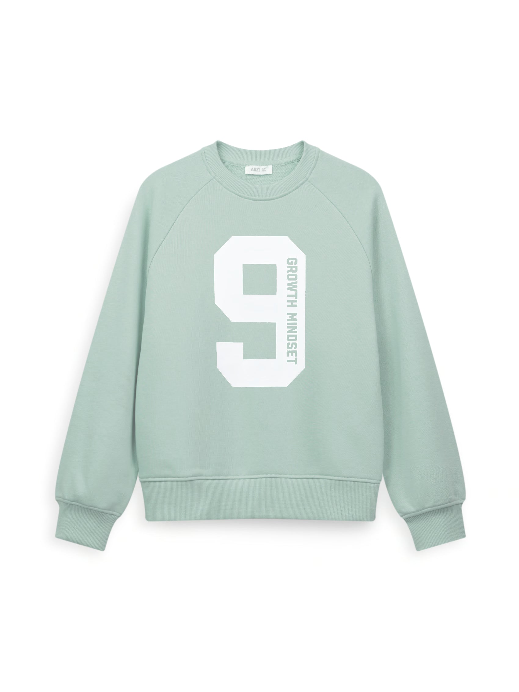 AIIZ Boy's Graphic Sweatshirt (Green / 3-4Y)