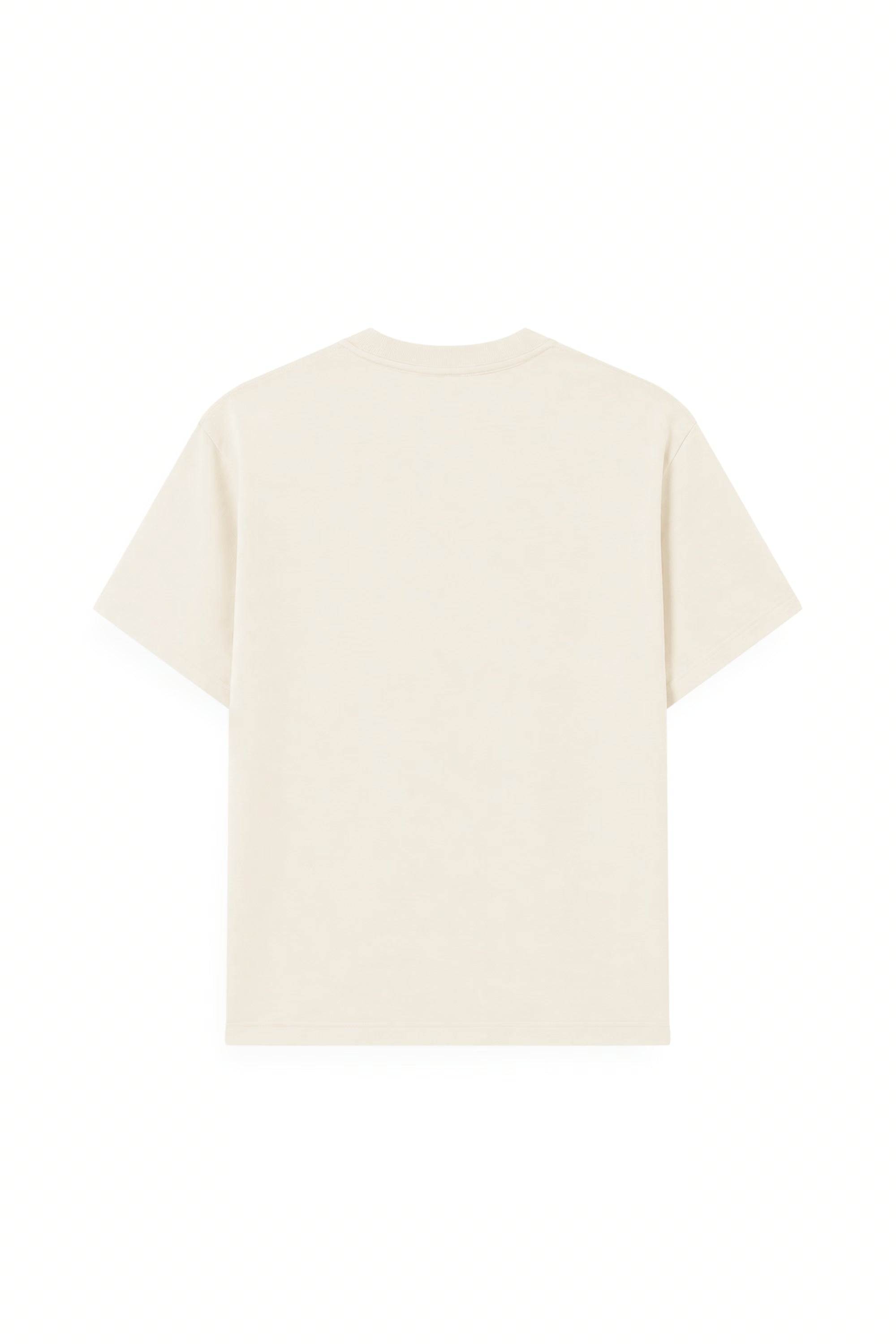 AIIZ Boy's Graphic T-Shirt