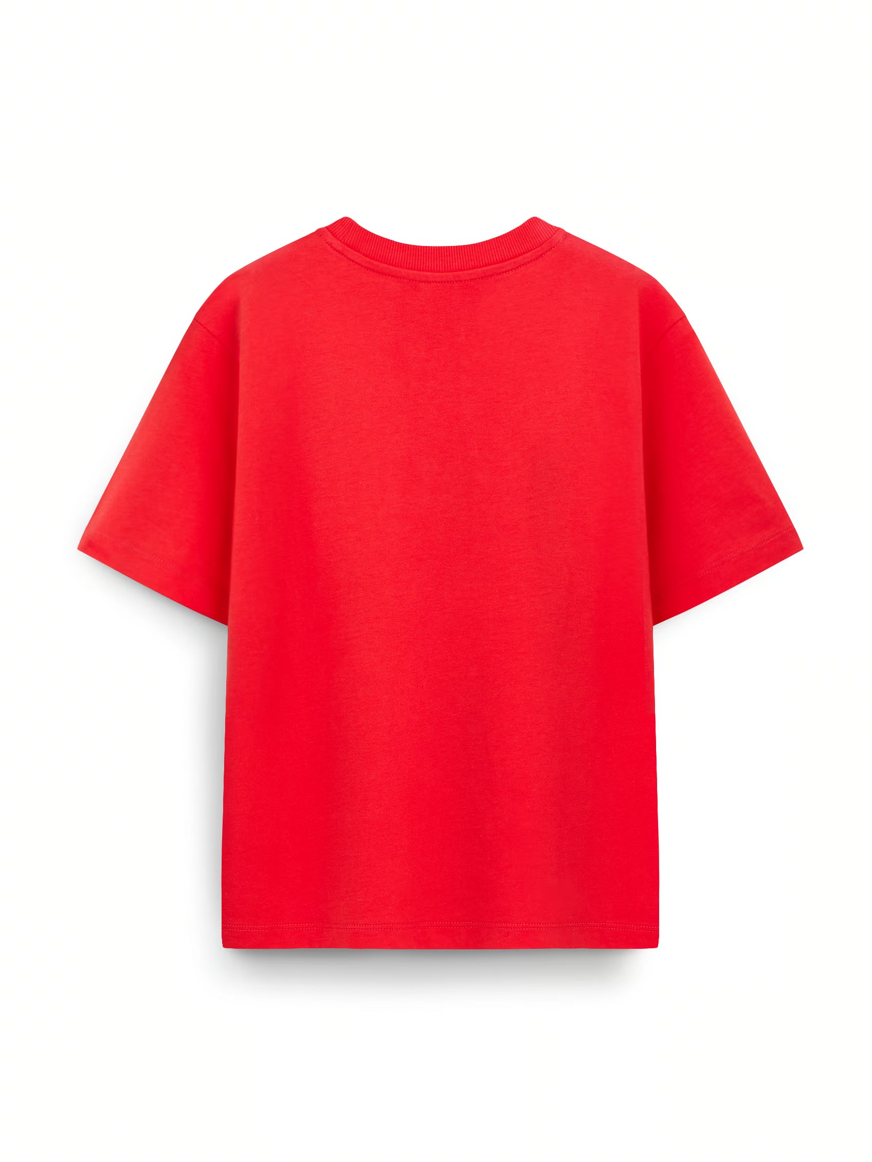 AIIZ Boy’s Cotton T-Shirt