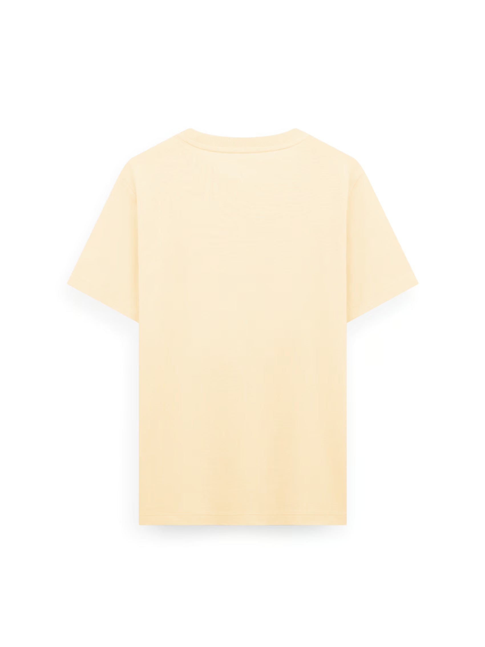 AIIZ Boy’s Cotton T-Shirt