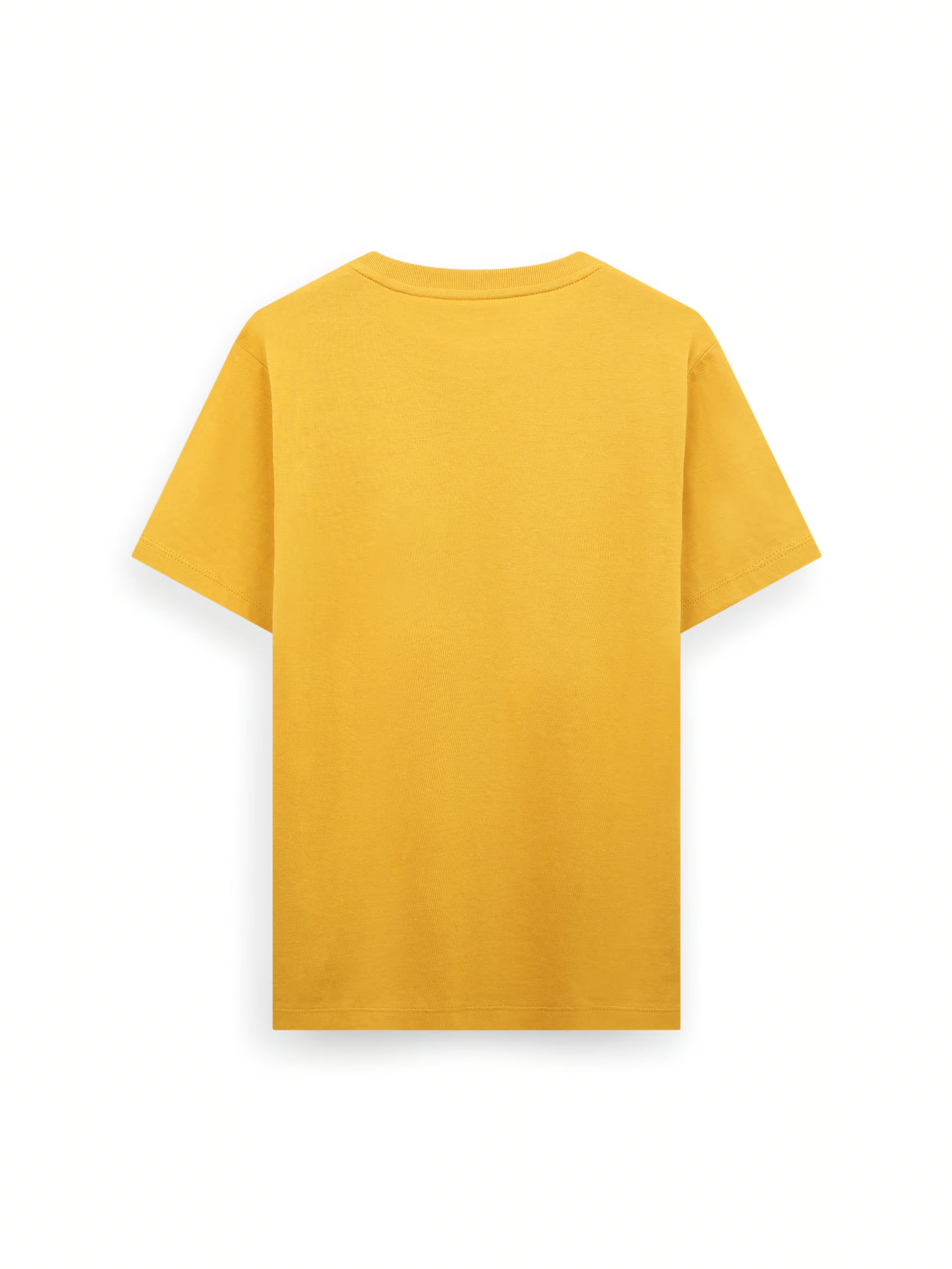 AIIZ Boy’s Cotton T-Shirt