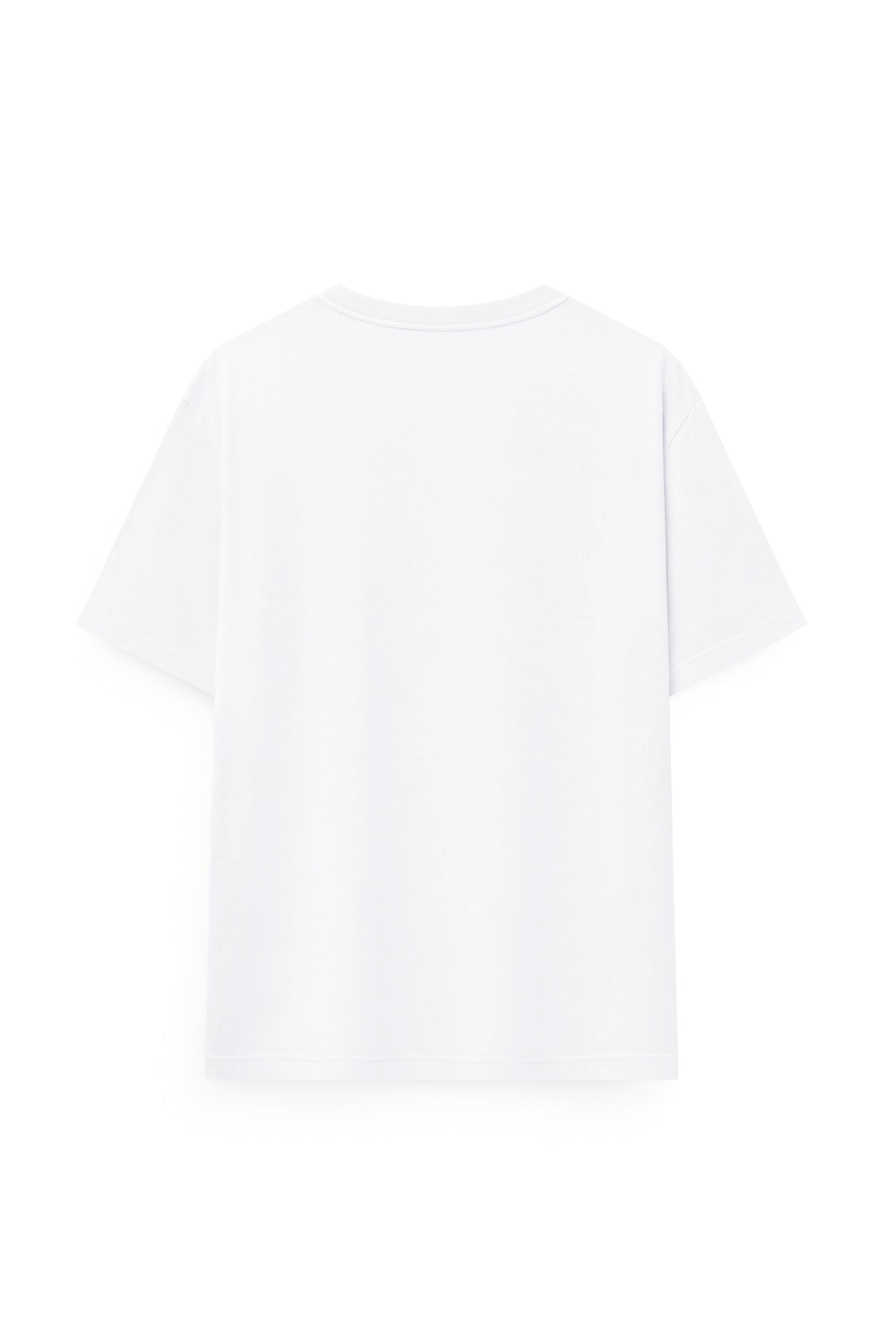 AIIZ Men's Graphic T-Shirt