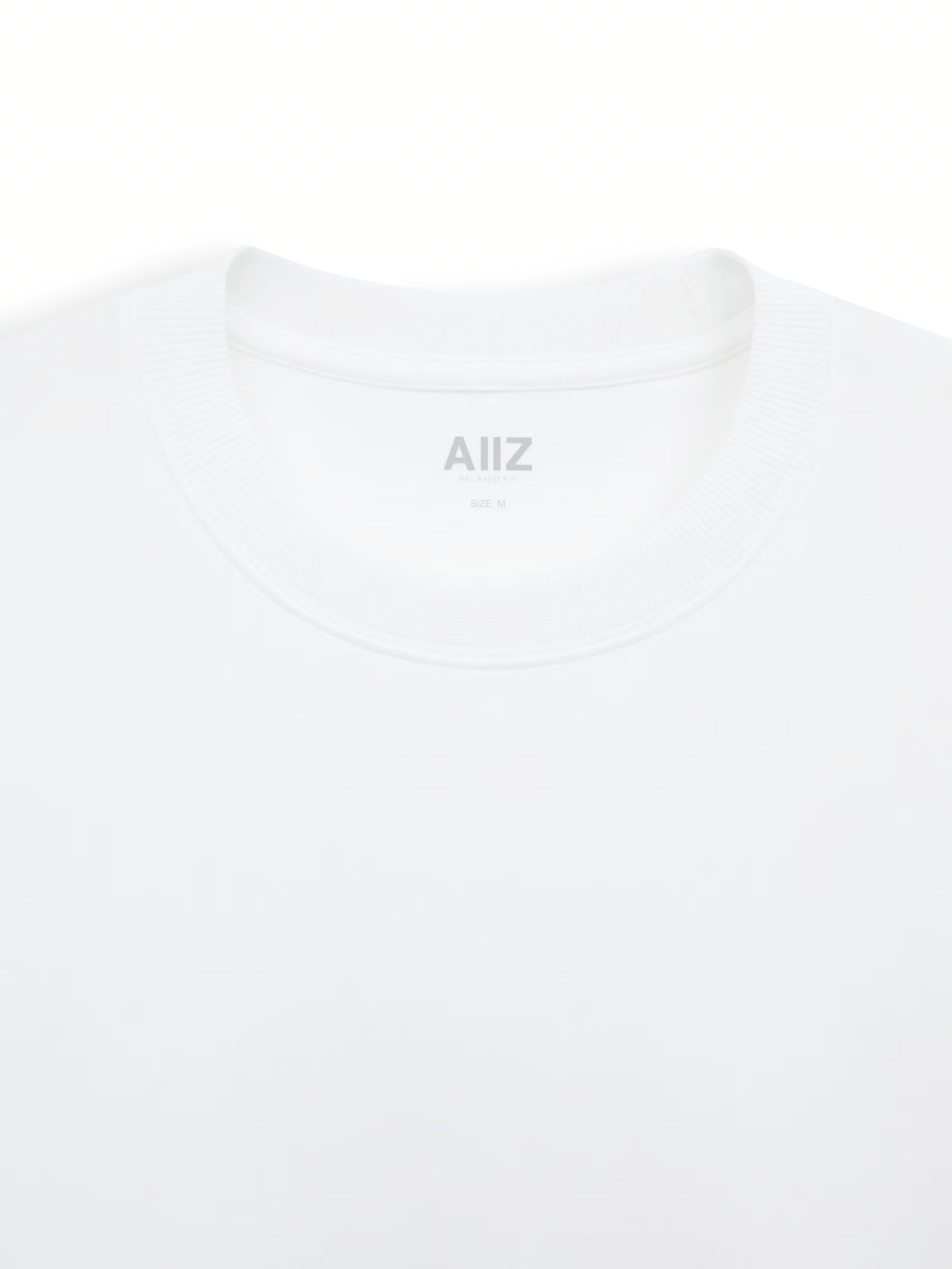 AIIZ Men's Relaxed Crew Neck T-Shirt