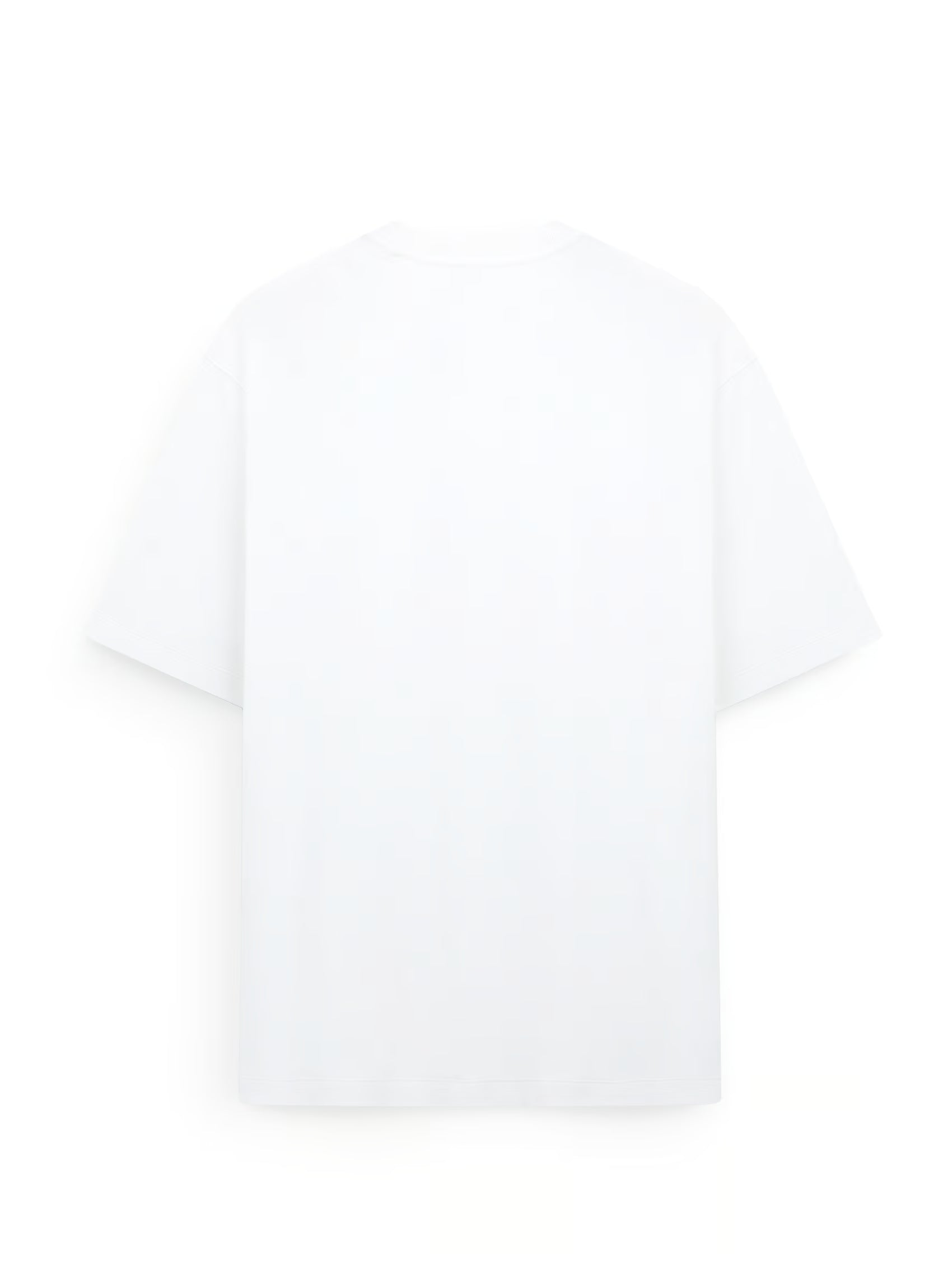 AIIZ Men's Relaxed Crew Neck T-Shirt