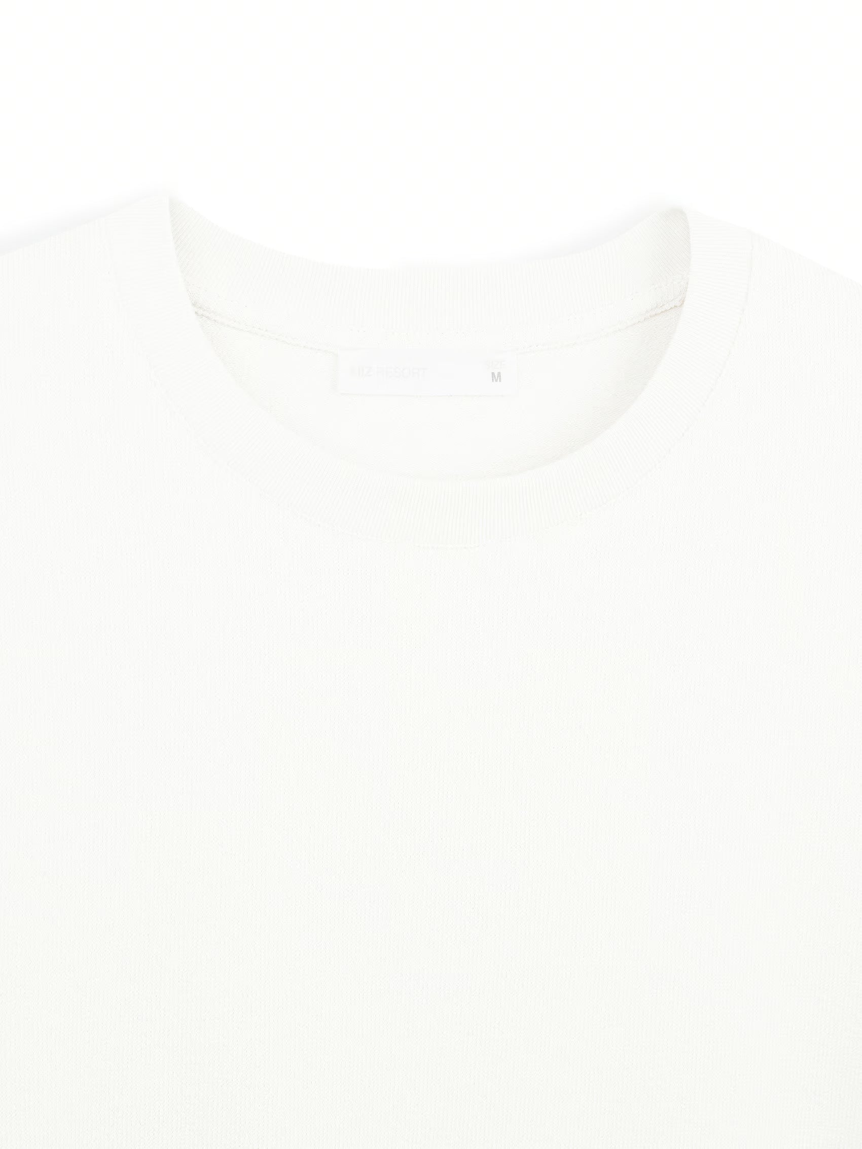 AIIZ Men's Relaxed Crew Neck T-Shirt