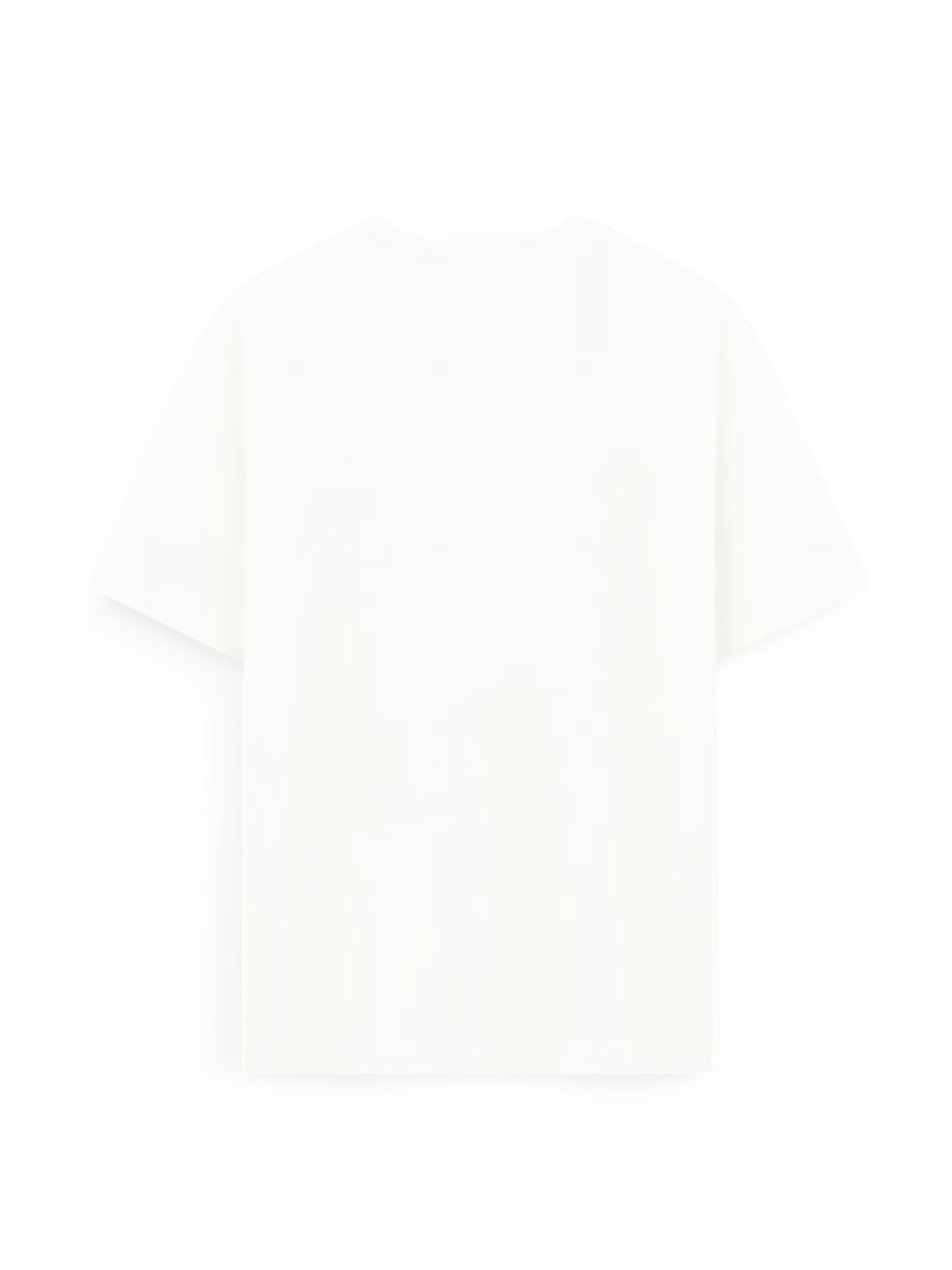 AIIZ Men's Relaxed Crew Neck T-Shirt
