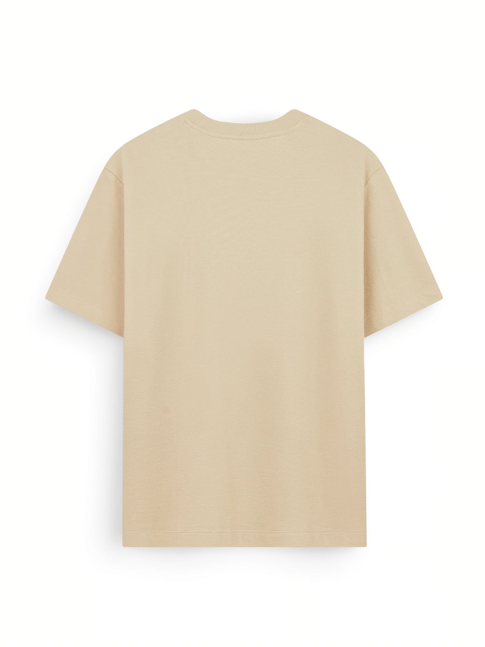 AIIZ Men's Relaxed Crew Neck T-Shirt