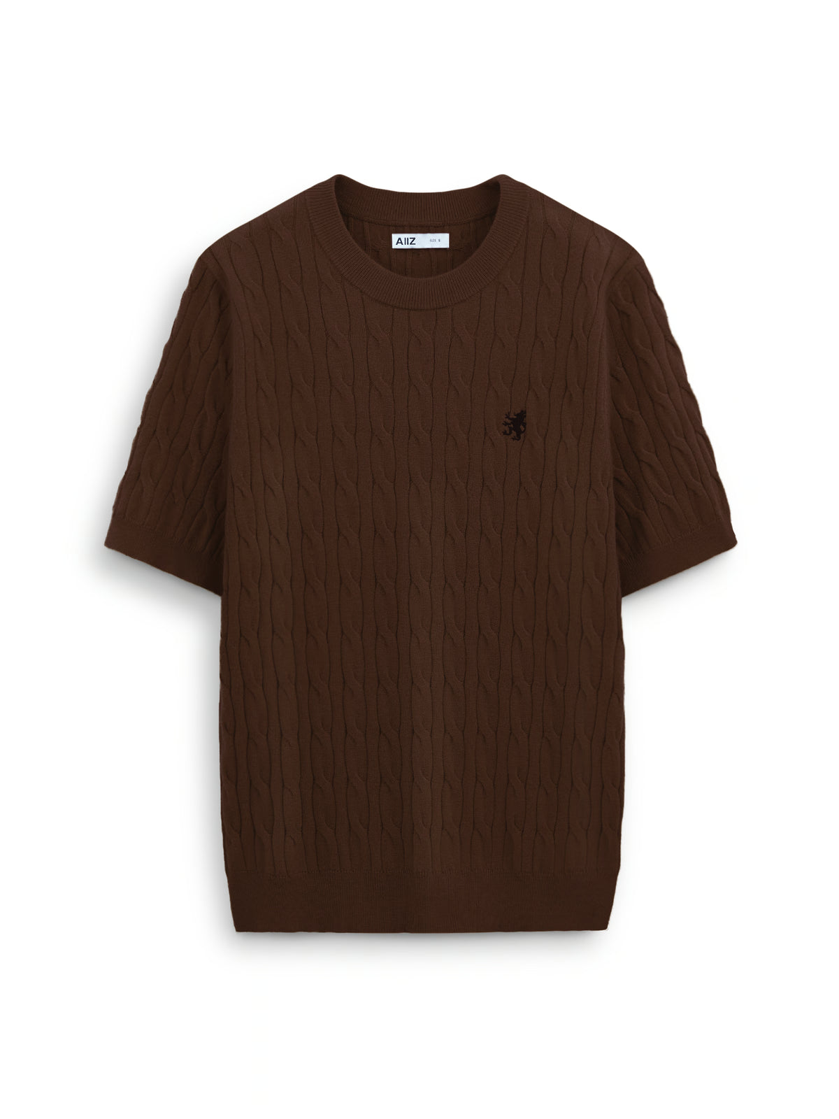 AIIZ Men's Cable T-Shirt Sweater