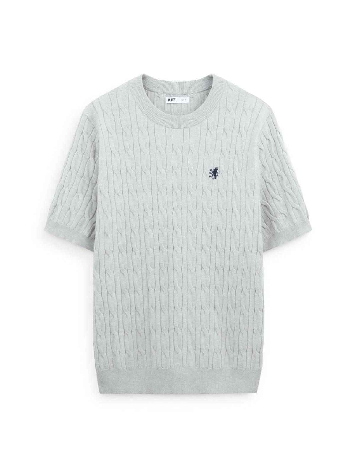 AIIZ Men's Cable T-Shirt Sweater (Top Dyed Grey / L)