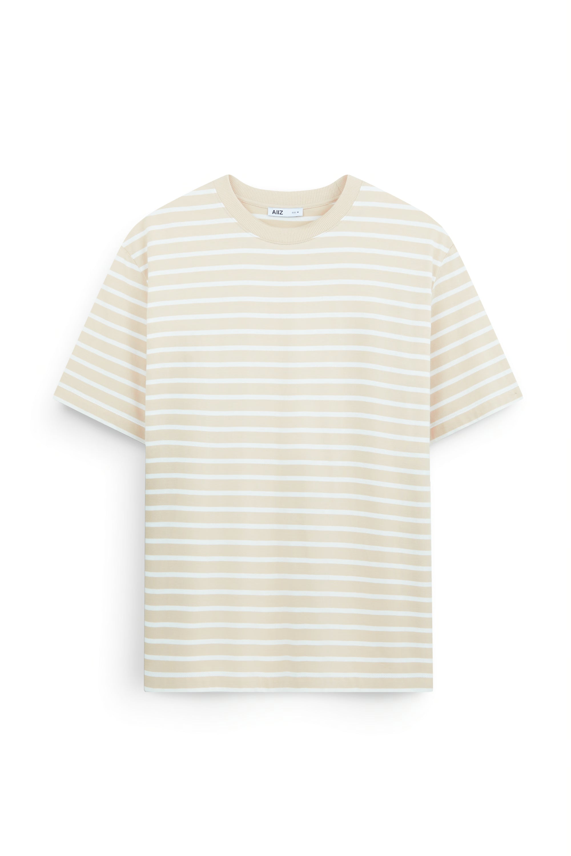 AIIZ Men’s Fishing Society Club Stripe Oversized T-Shirt
