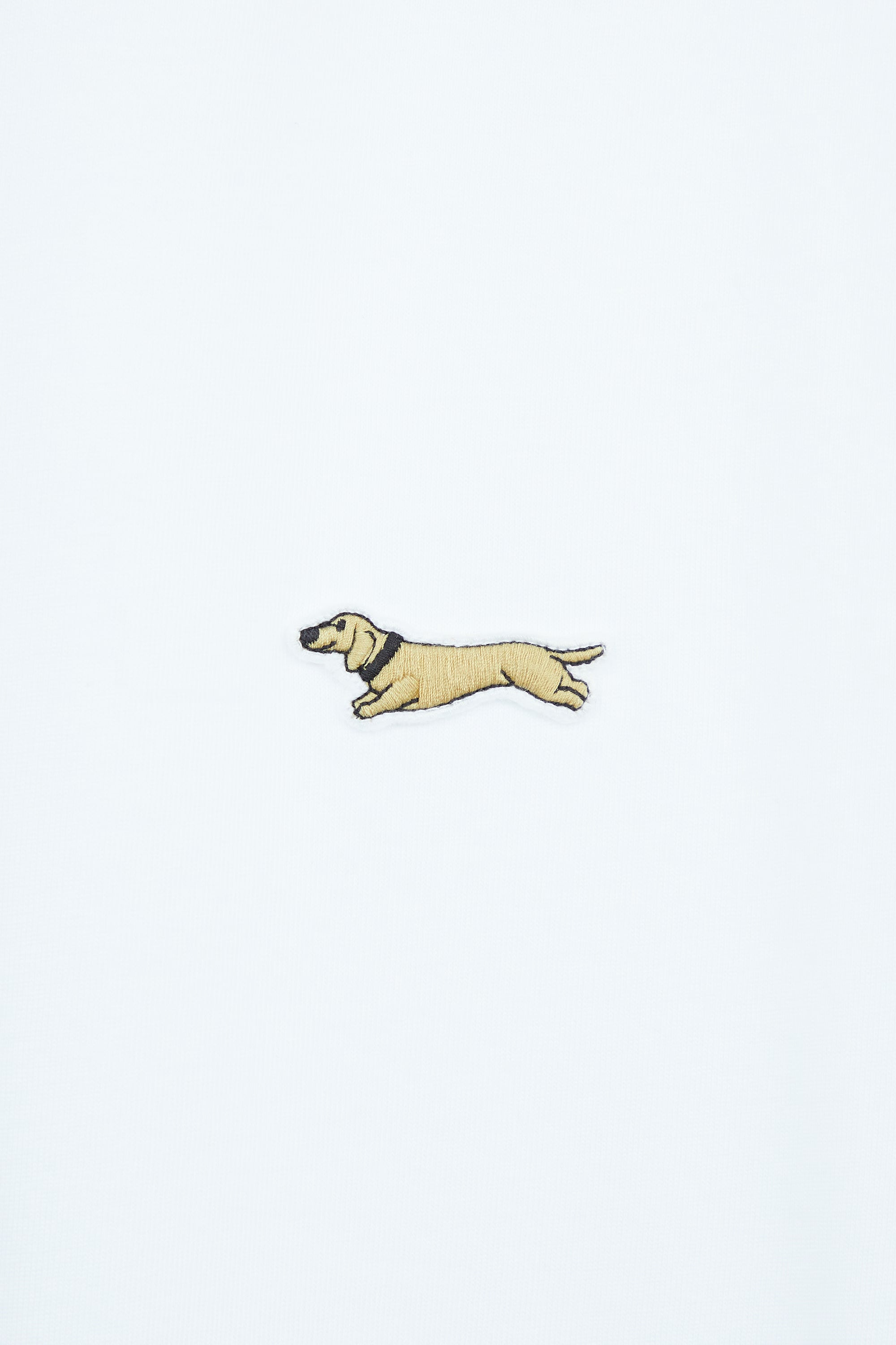 AIIZ Men's Graphic T-Shirt