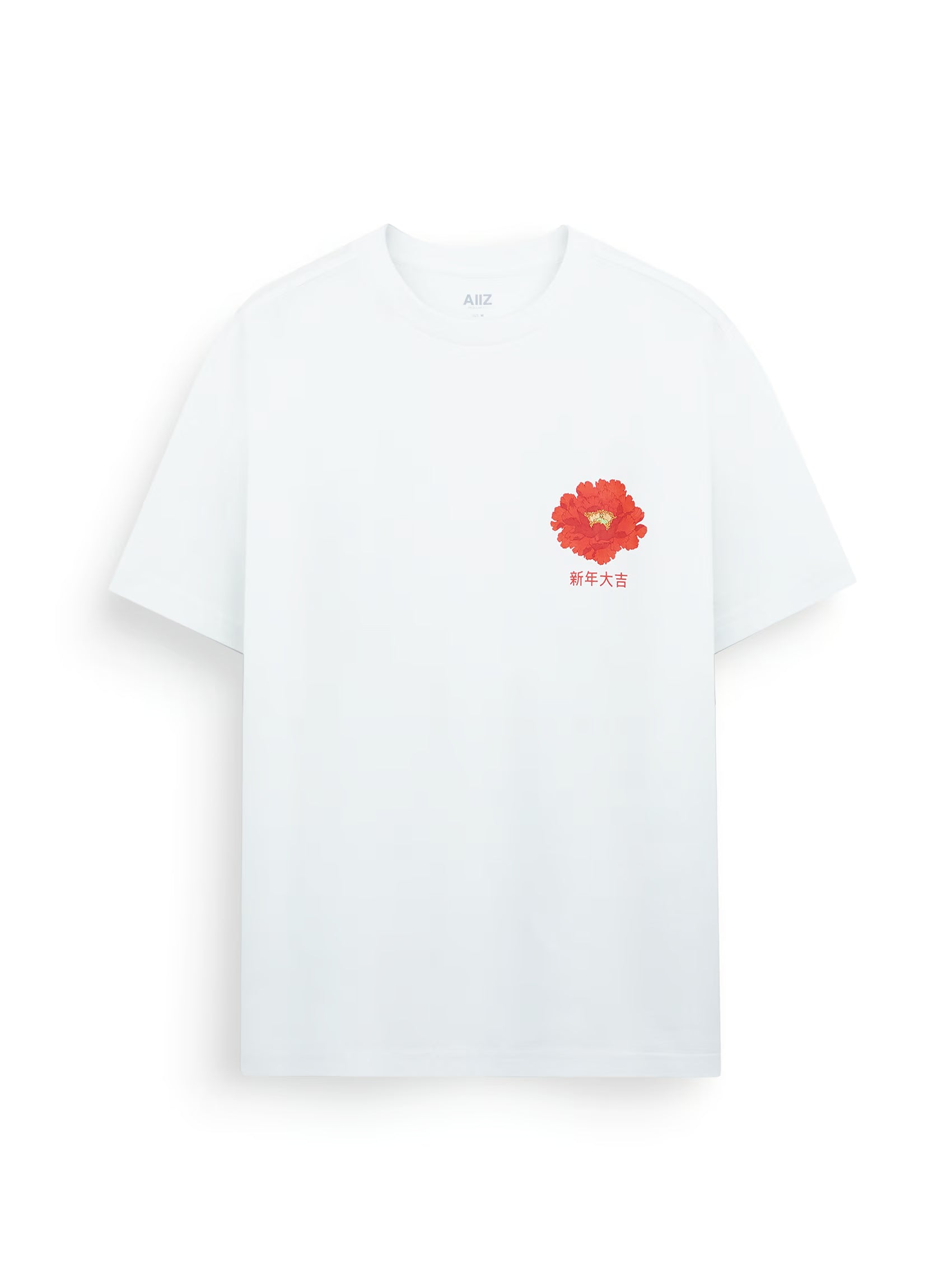 AIIZ Men's Graphic T-Shirt (OFF WHITE / S)
